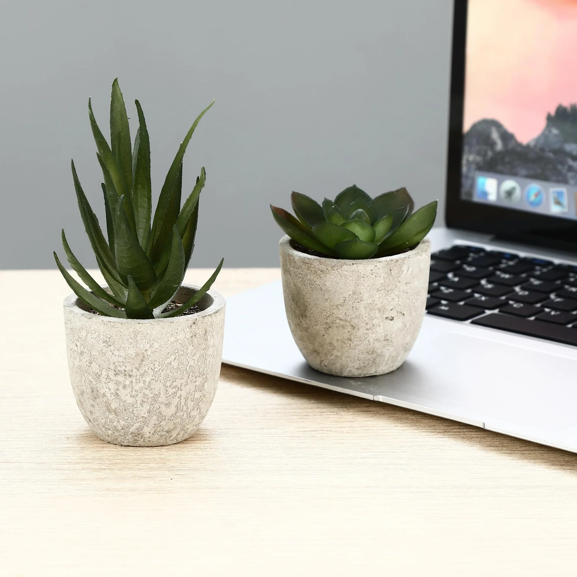 Plantes Artificielles Mini Interieur Serpentine Agave Succulentes Aloe Vera Decoration Bureau