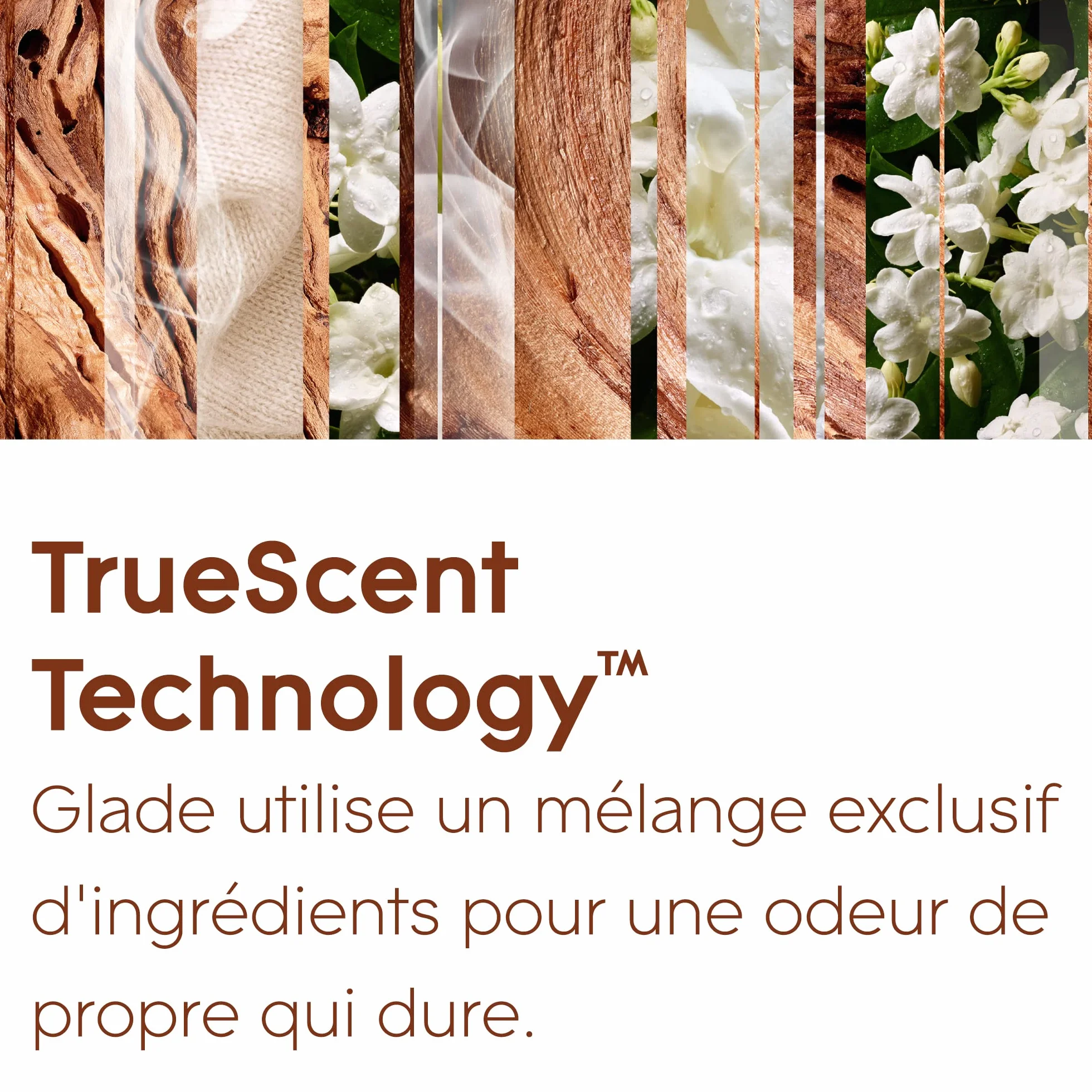 Glade Automatic Spray Diffuseur Infusé Aux Huiles Essentielles Sensual Sandalwood et Jasmine 1 Diffuseur et 1 Recharge