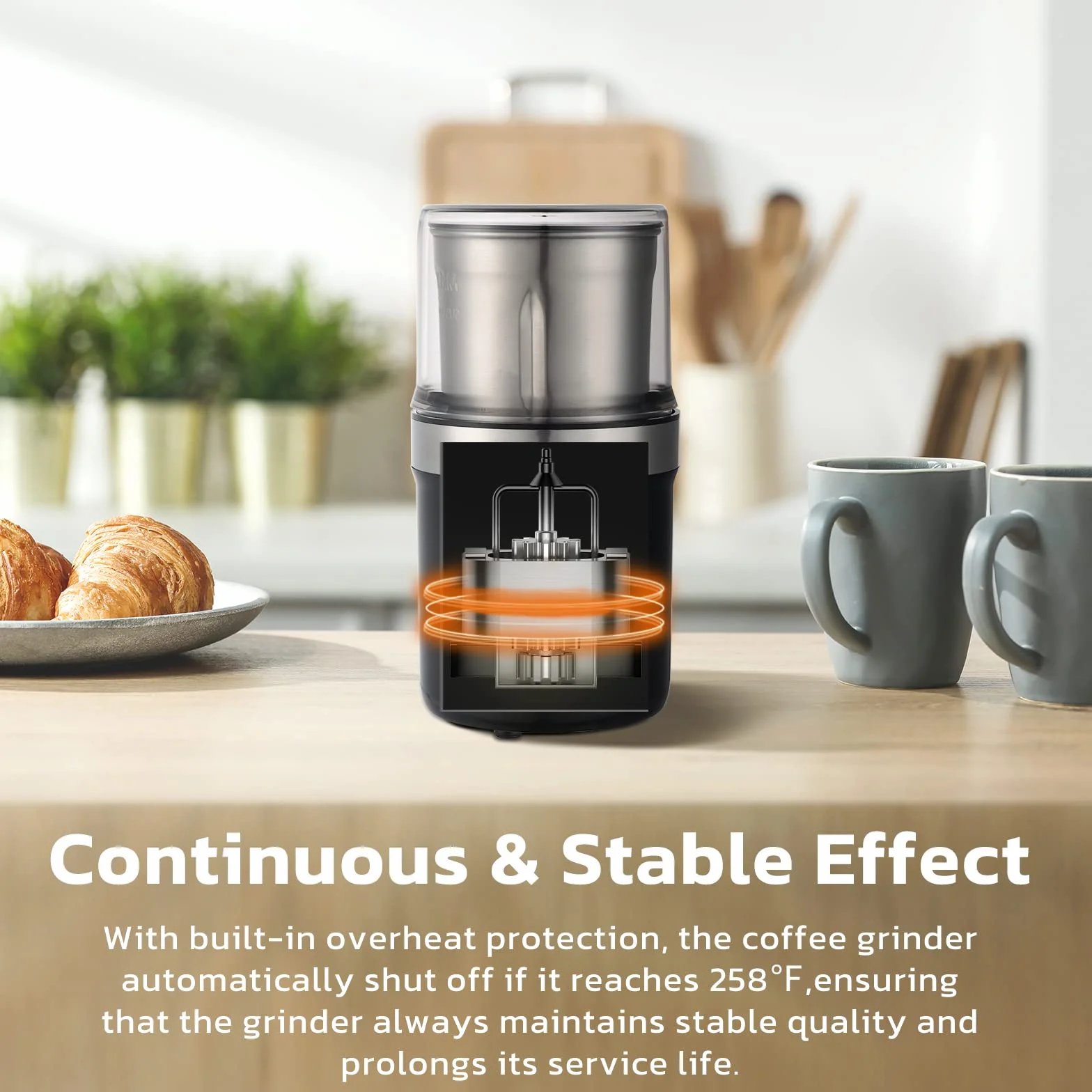 Moulin à Café Électrique KYG pour Graines, Poivre, Graines de Lin avec Bol Amovible, Moulin à Épices 300W, Tasse en Acier Inoxydable Lavable