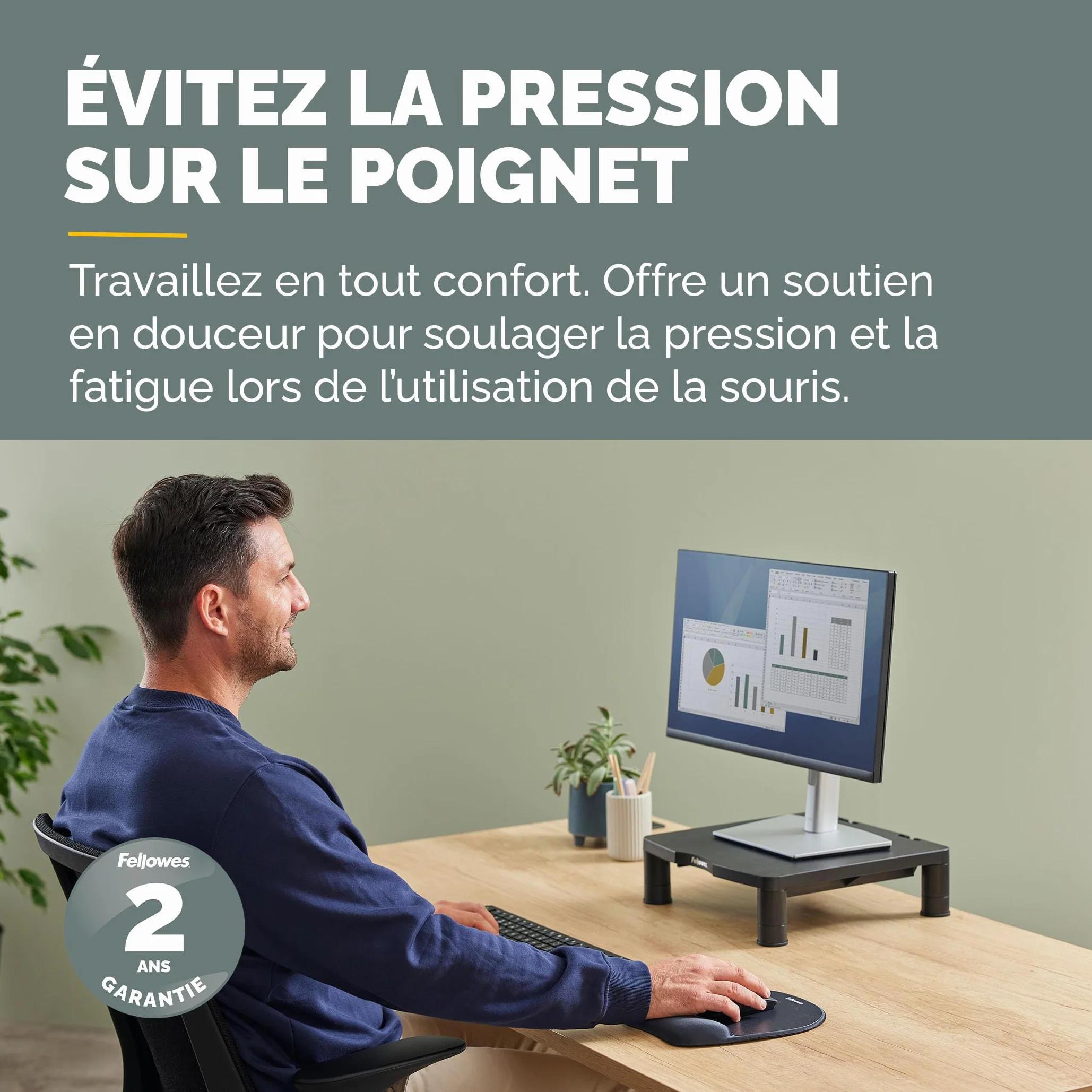 Fellowes Tapis de Souris Ergonomique avec Support de Poignet Noir