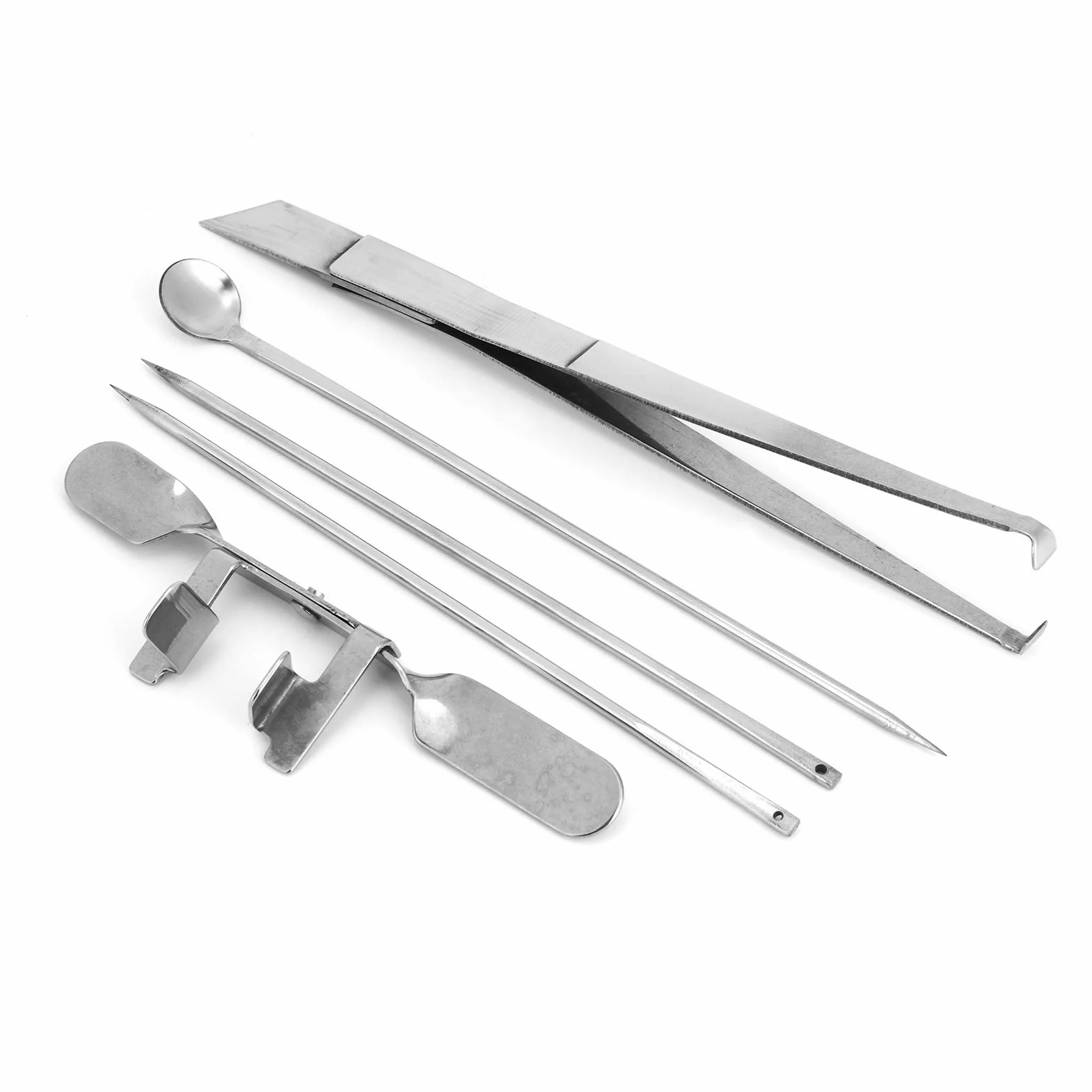 Kit D'outils pour Chapon de Poulet, Dispositif Vétérinaire en Acier Inoxydable, 5 Pièces