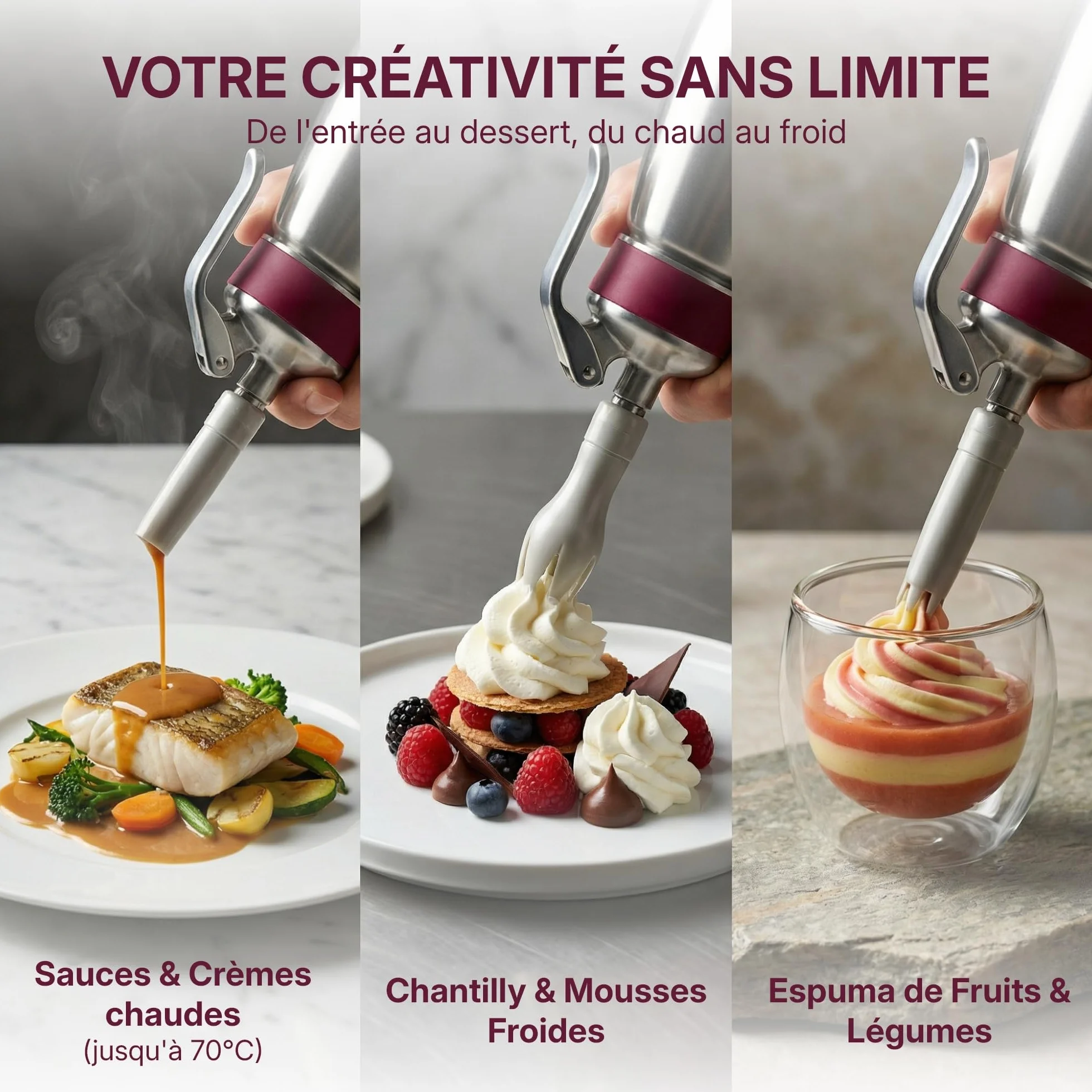 Siphon de cuisine professionnel INOX 1L - GOBEL