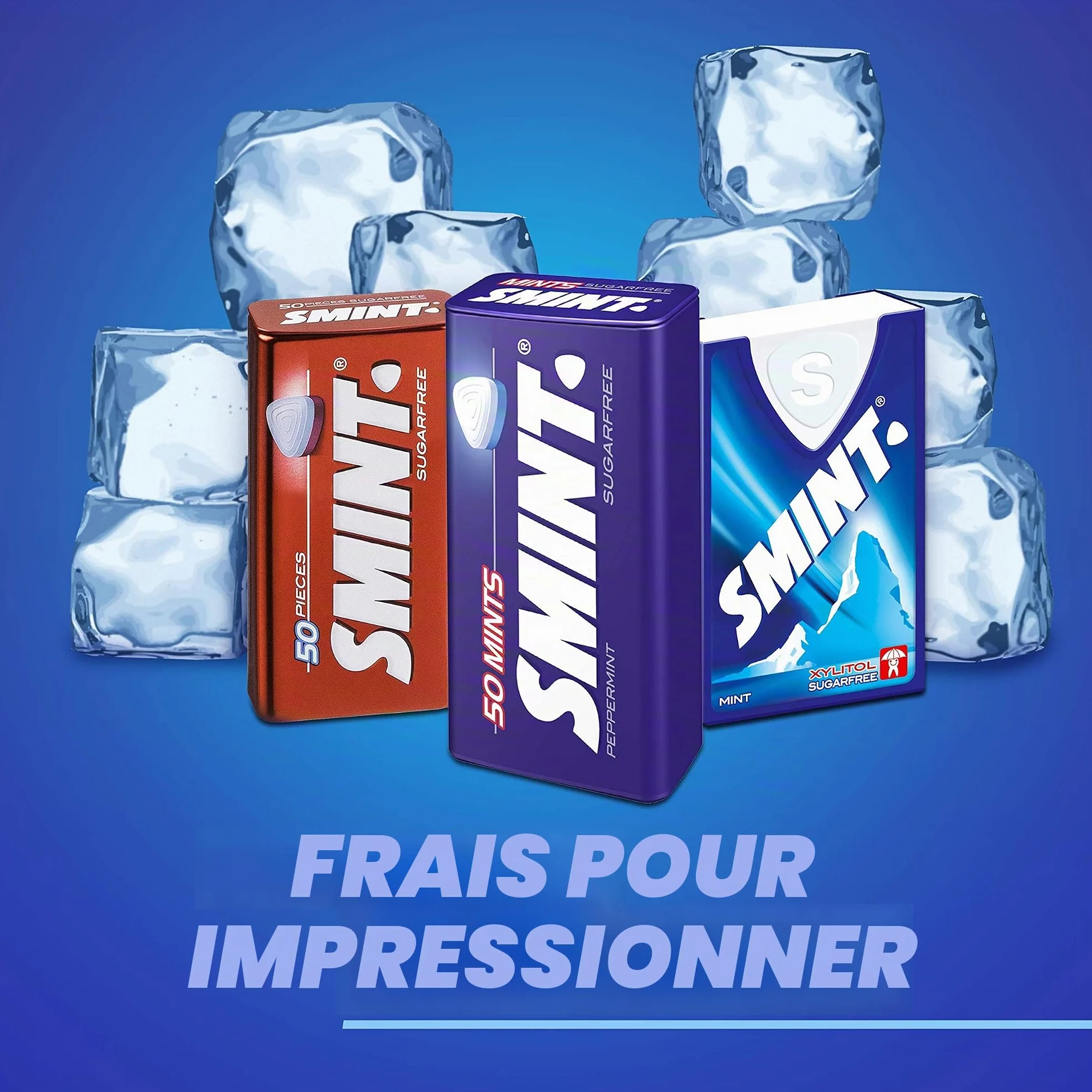 Smint Mints Peppermint 12 x 35 g Pack