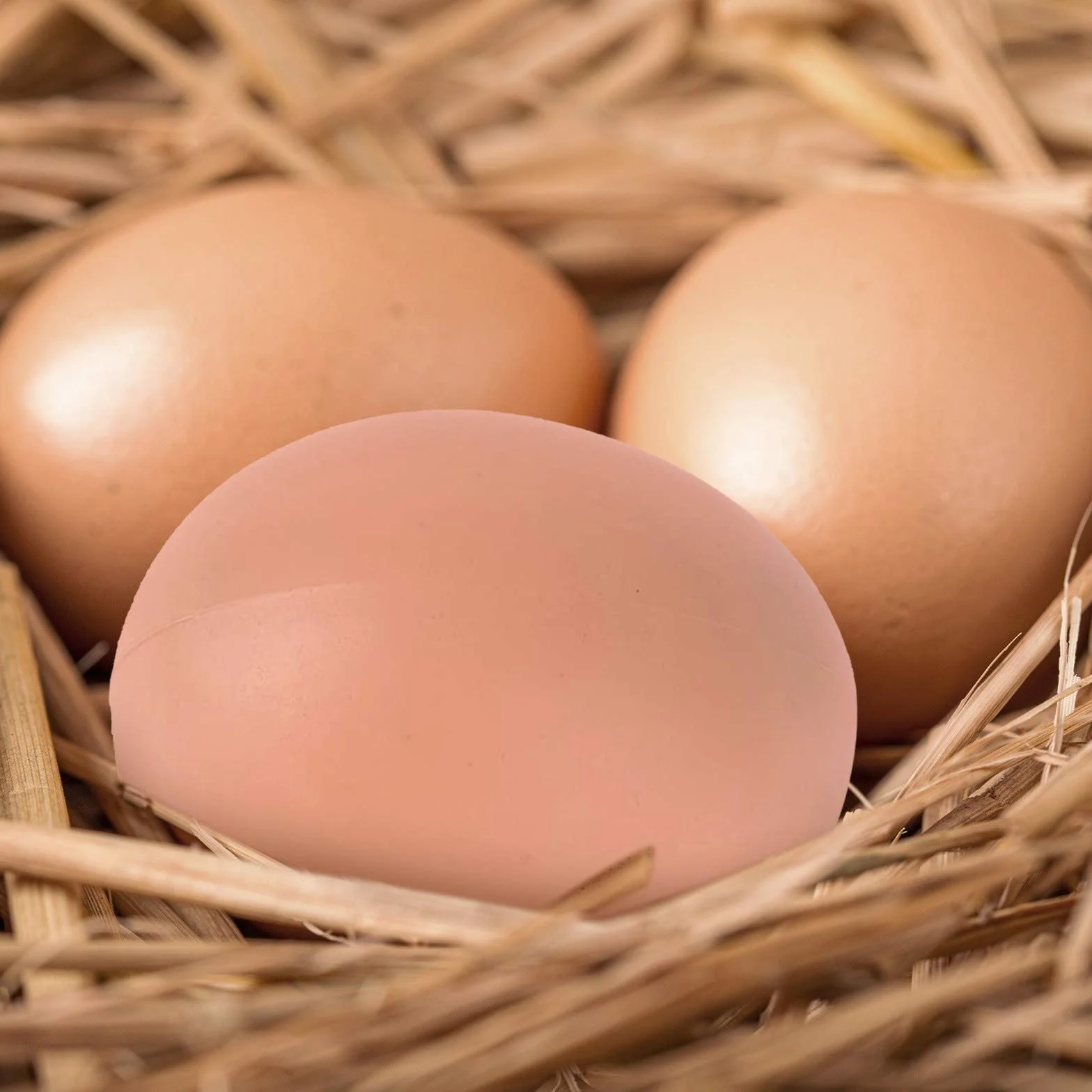 Fake Plastic Artificial Chicken Eggs 5.3cm 6PCS for Laying, Stop Eating Own Eggs, Home Decoration