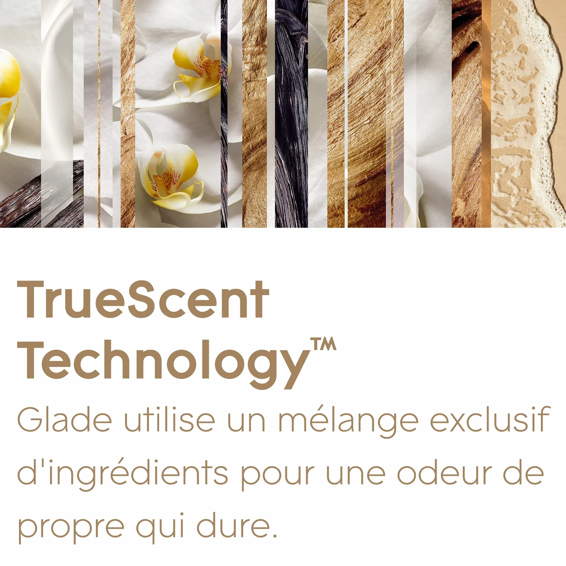 Glade Sense et Spray Recharge Duopack Diffuseur à Détection de Mouvement Romantic Vanilla Blossom 2 Recharges