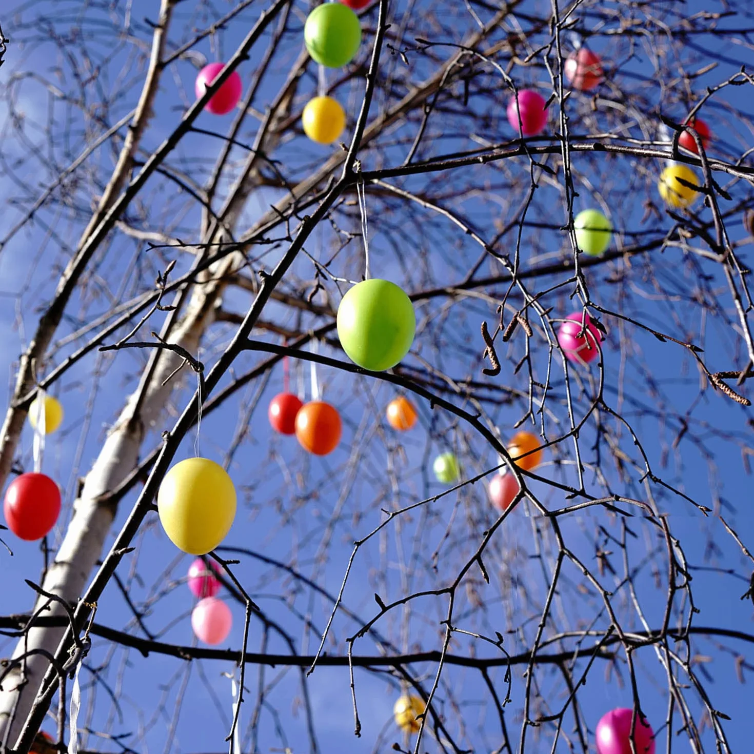 KEELYY 50 œufs de Pâques en plastique multicolores à remplir pour cadeaux et bonbons