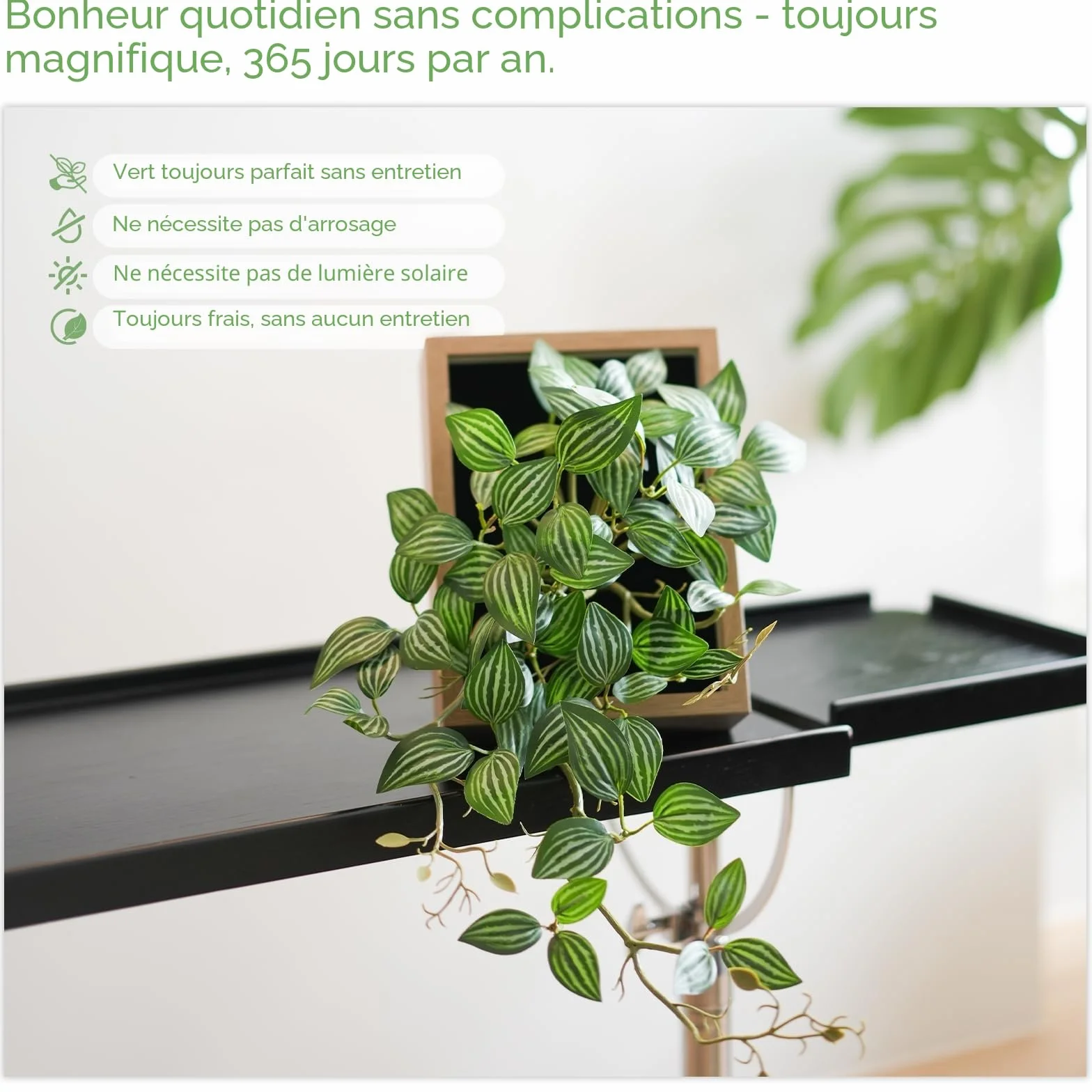 Tableau Végétal Feuilles de Pépéromia Cadre Naturel 30x48cm Décoration Murale Artificielle Salon