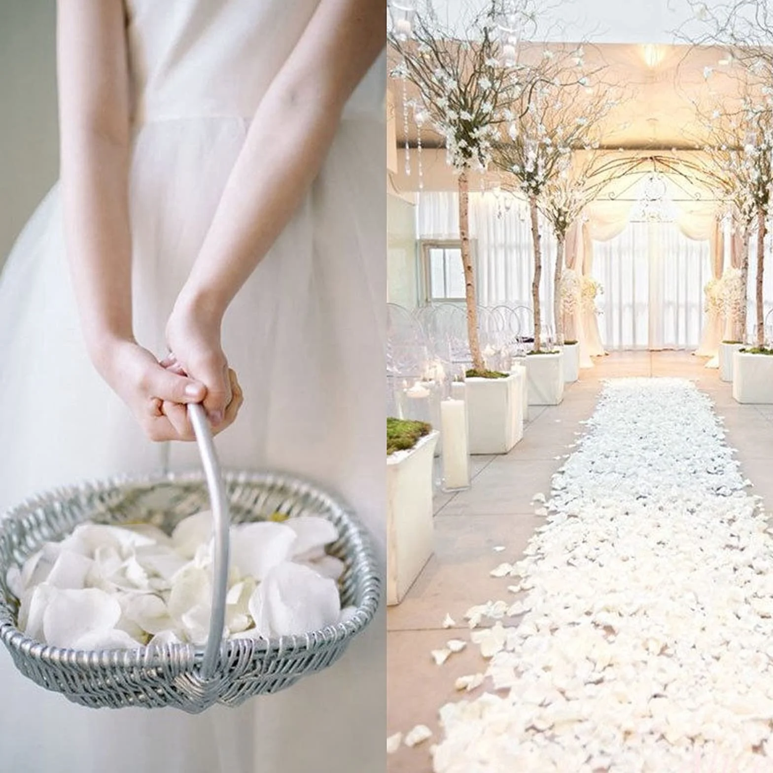 OWLKELA 1200 pièces Pétales de Blanche Artificiels - Mariage, Saint Valentin