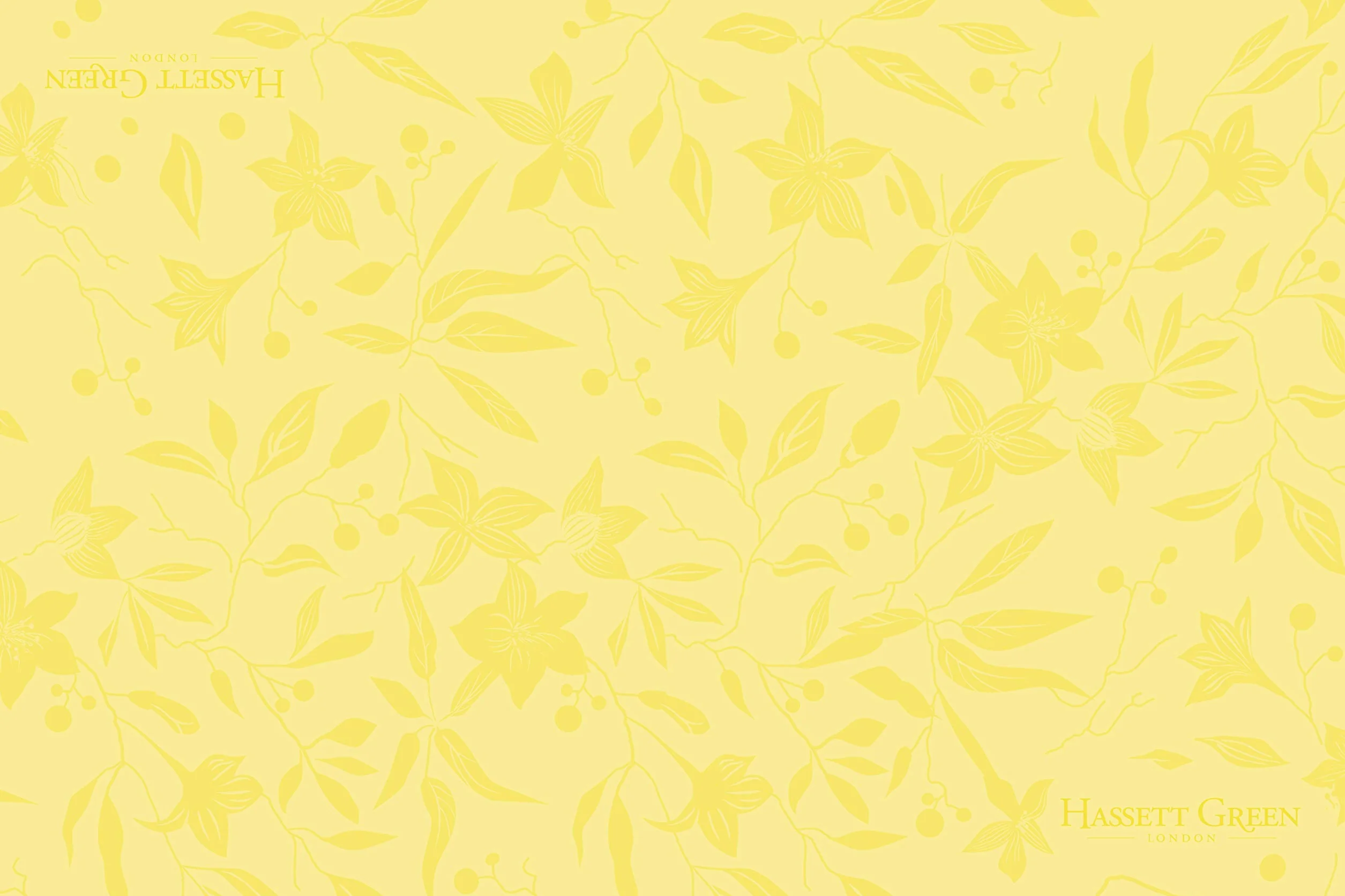 Hassett Green London Lot de 4 doublures de tiroir parfumées Chèvrefeuille Jasmin Lilas Lavande Coton Naturel 600 x 400 cm