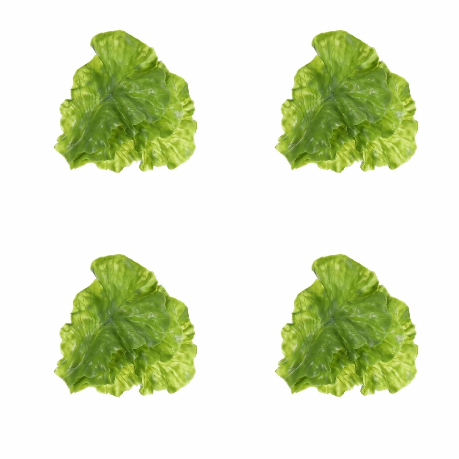 Amosfun 12 Pièces Feuille De Laitue Réaliste Simulation Légumes Décor Cuisine