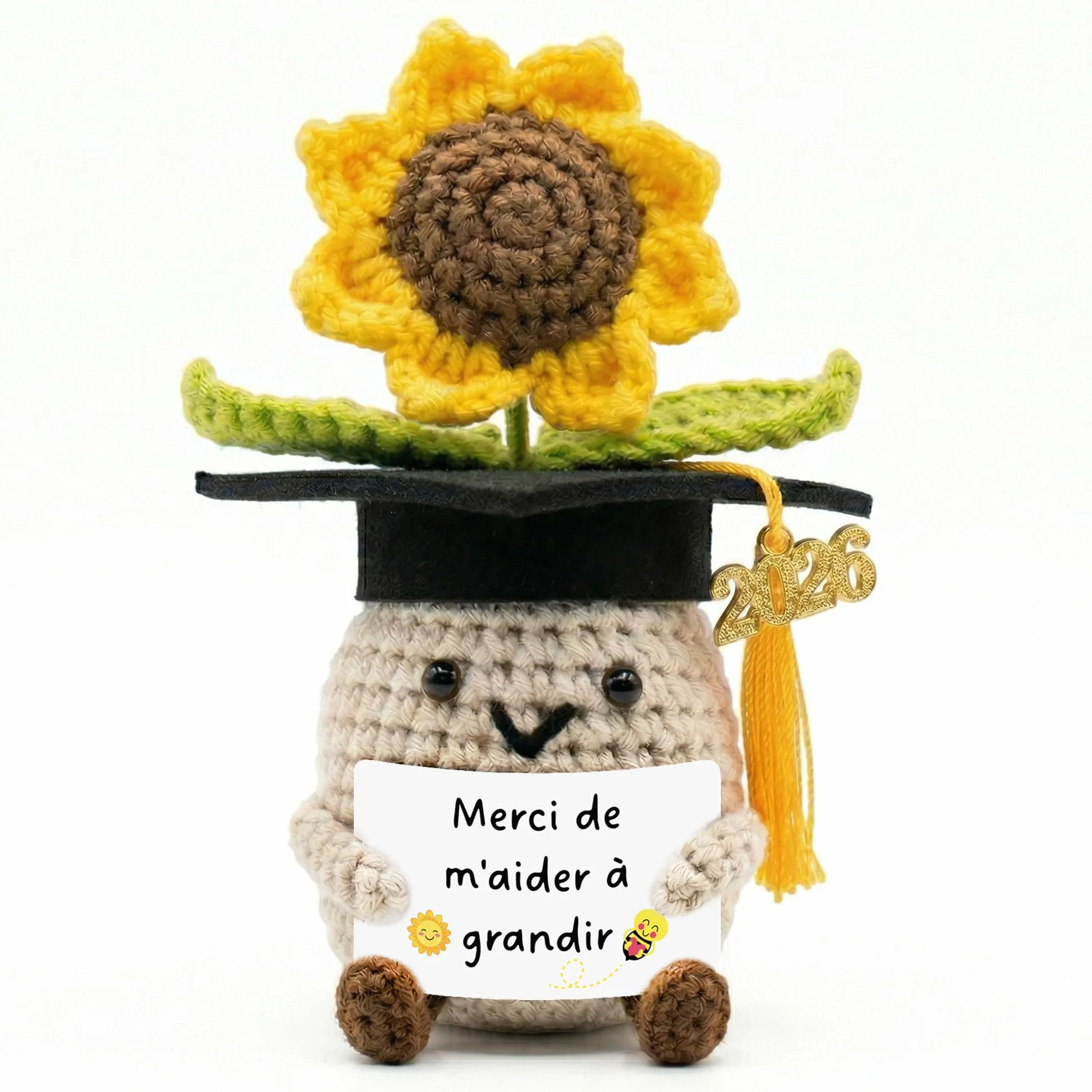 Cadeau Maîtresse d'École Fin d'Année - Tournesol au Crochet Fait Main - Idée Cadeau pour Retraite, Noël