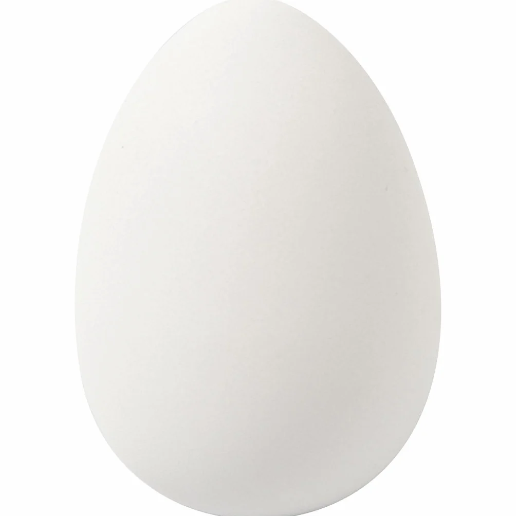 Faux œufs d'oie blancs en plastique aspect naturel Lot de 8