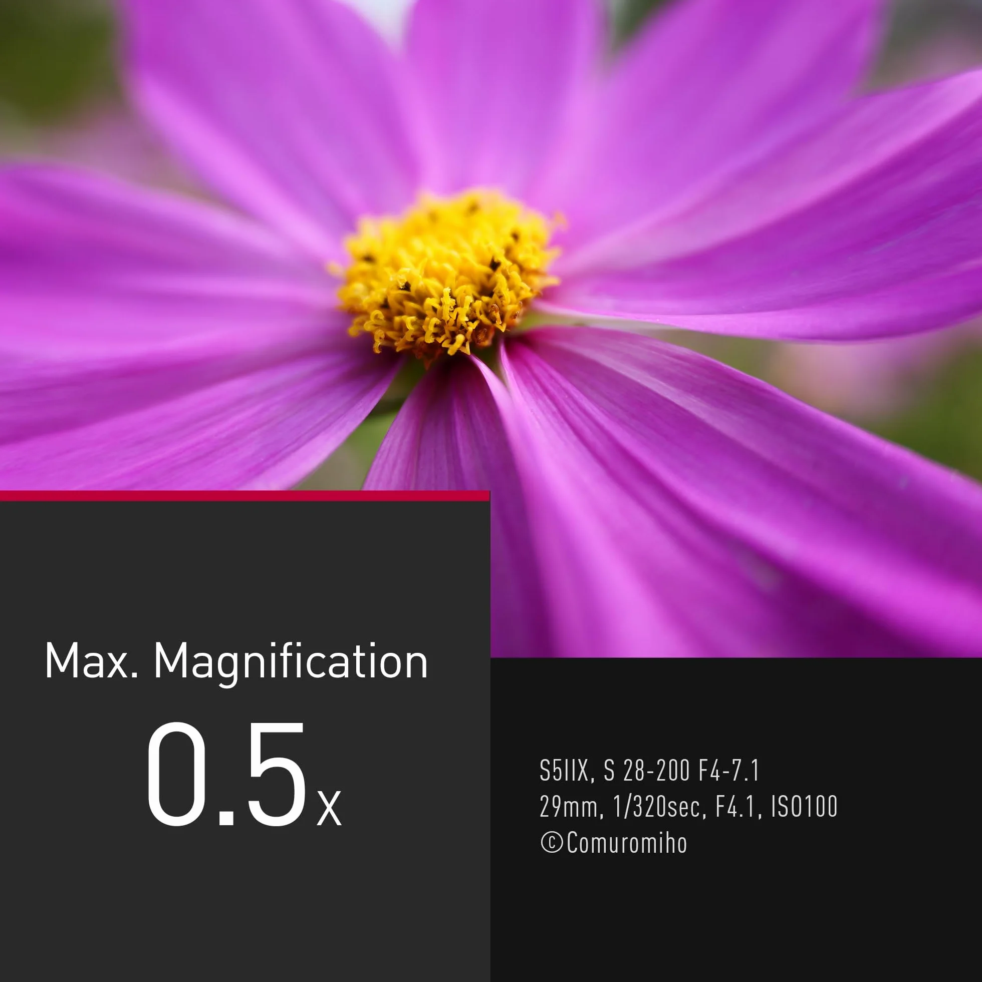 Panasonic Lumix S-R28200E 28-200mm F4.0-7.1 Obiektyw Makro, Obiektyw Pełnoklatkowy, Szeroki i Długi Obiektyw Zmiennoogniskowy, Dual IS 2, Odporny na Kurz, Zachlapanie i Mróz, do Filmów 4K, Czarny