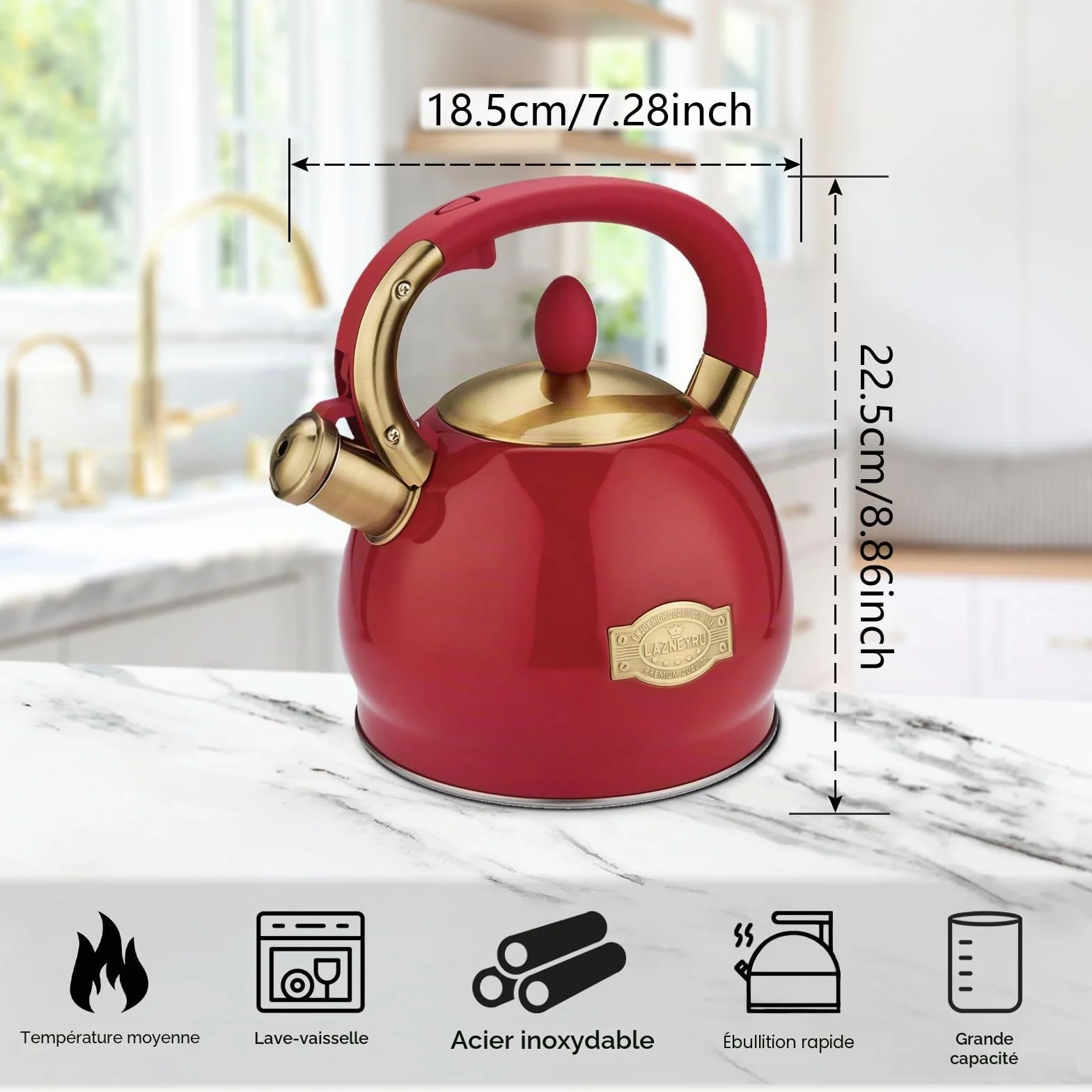 2,8 L Bouilloire à sifflet pour induction, théière en acier inoxydable pour tous les types de cuisinières