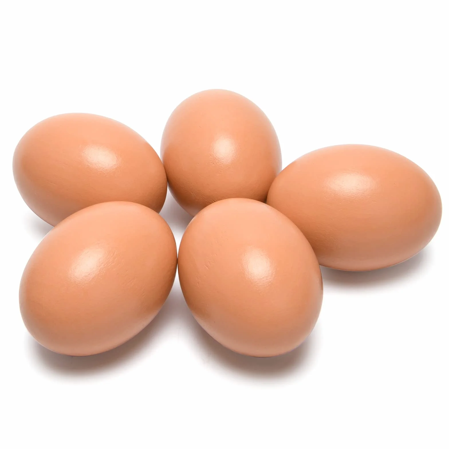 Œufs en bois artificiels lot de 5 pour poules - Outil agricole ponte