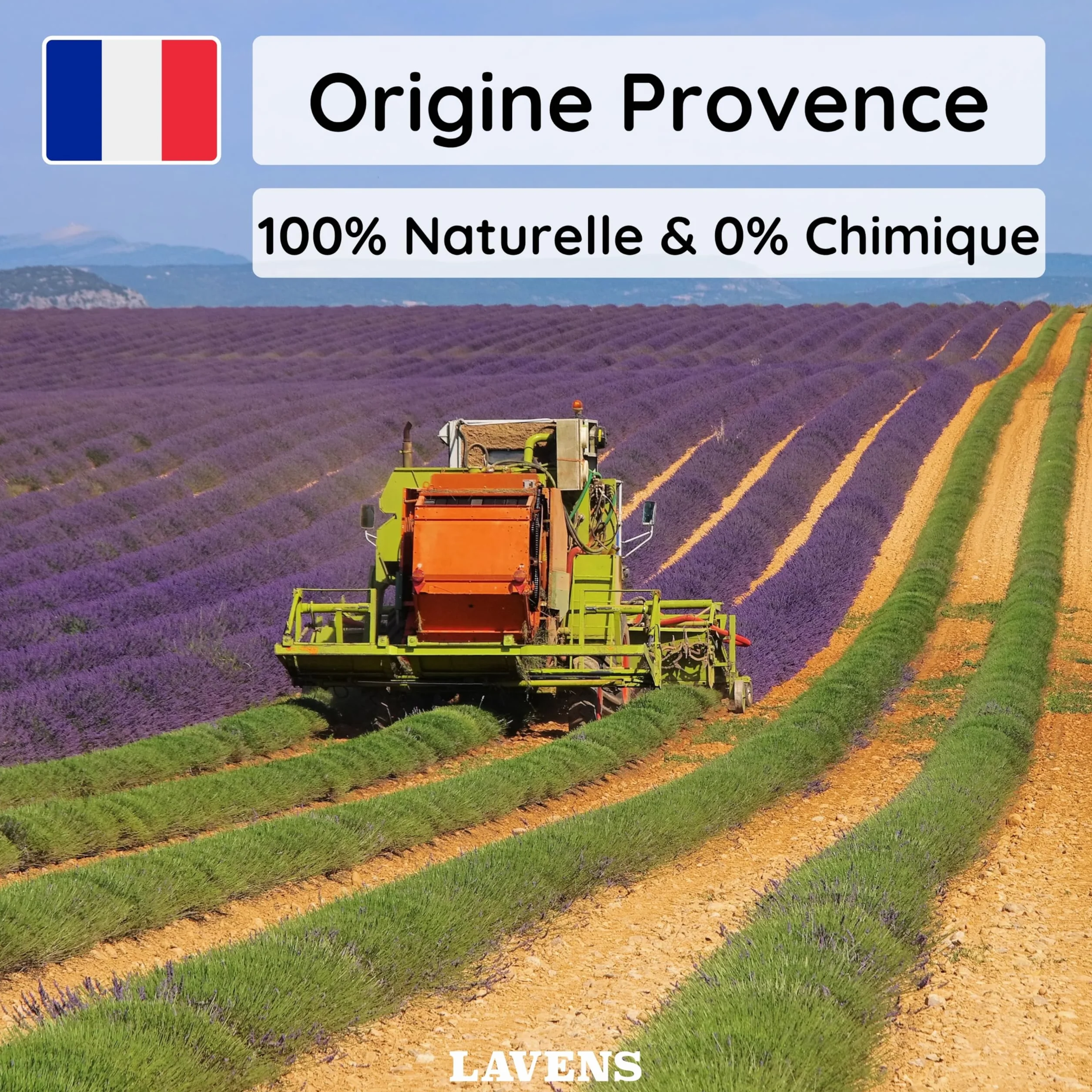 LAVENS Sachets de lavande parfumés 120G Origine Provence France pour armoire et linge