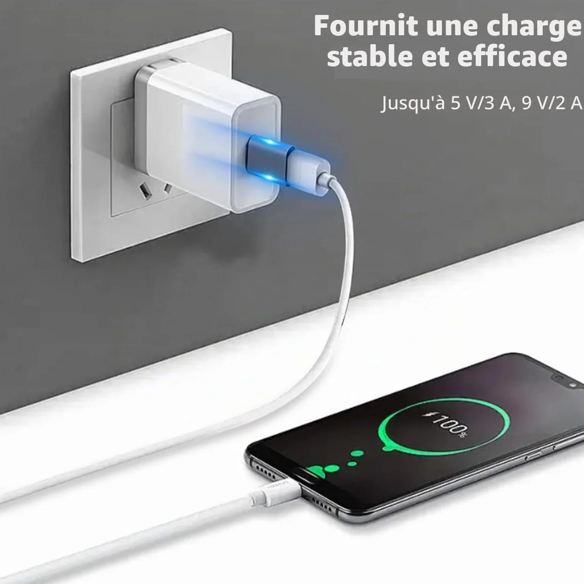 Duttek Adaptateur USB C Femelle vers Mâle USB 10Gbps, USBC vers A OTG Charge Rapide pour iPhone MacBook PC