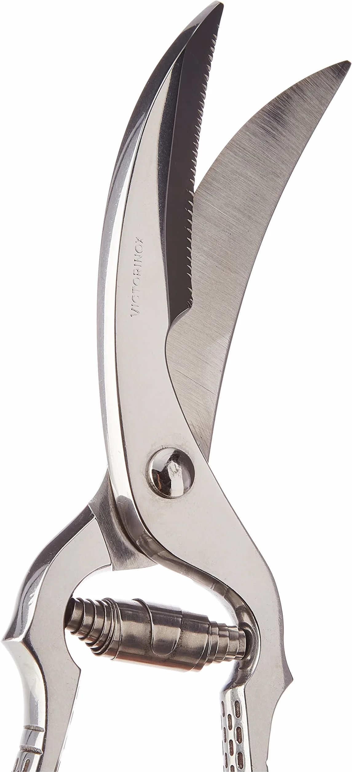 Victorinox Ciseaux à volaille de cuisine, lames extra-tranchantes, acier inoxydable, poignée métallique