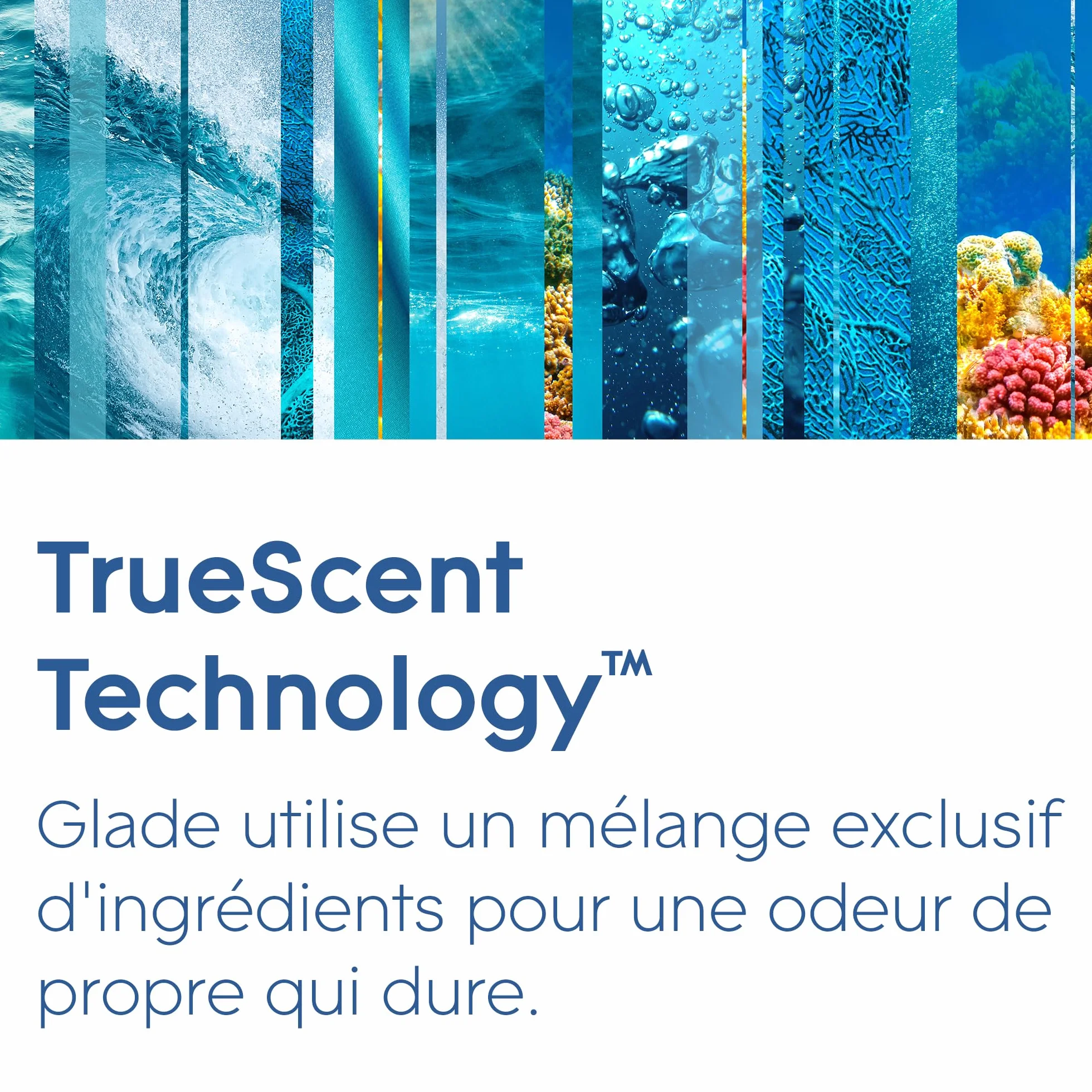 Glade Touch et Fresh Recharges 2et1 Fraicheur Instantanée Marine - 3 Recharges