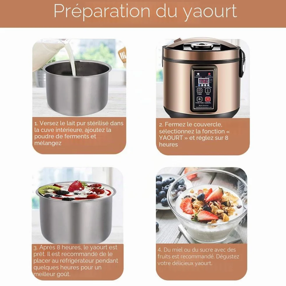 6L Yaourtière, Fermenteur Pour Ail Noir, Pour Kimchi, Pour Le Vin De Riz Doux Et Pour Le Natto - Appareil Entièrement Automatique