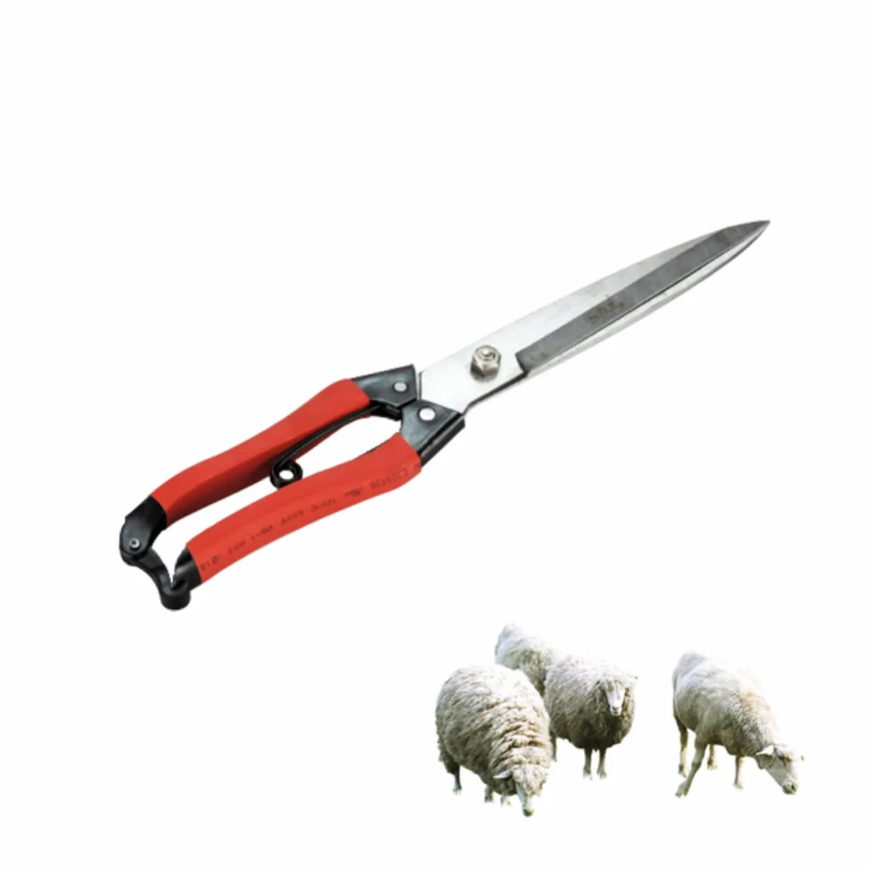 Ciseaux De Laine Pour Mouton Outils De Coiffure Animaux Toilettage