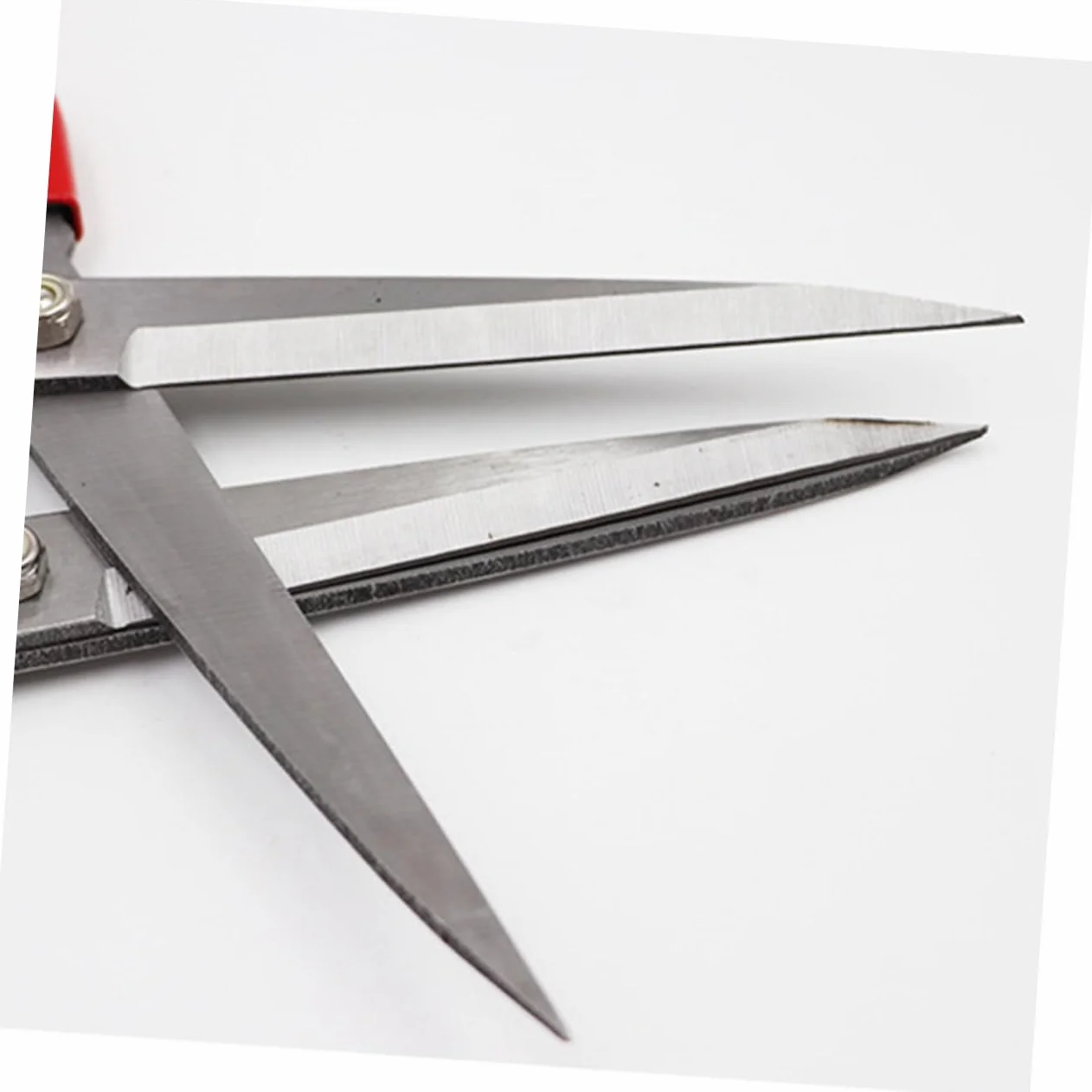 Ciseaux De Laine Pour Mouton Outils De Coiffure Animaux Toilettage