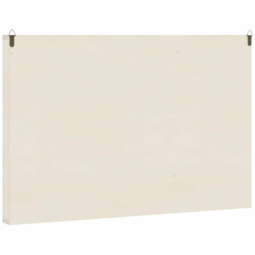 vidaXL Vitrine de Collection en Bois avec 60 Compartiments 60 x 4,5 x 40,5 cm
