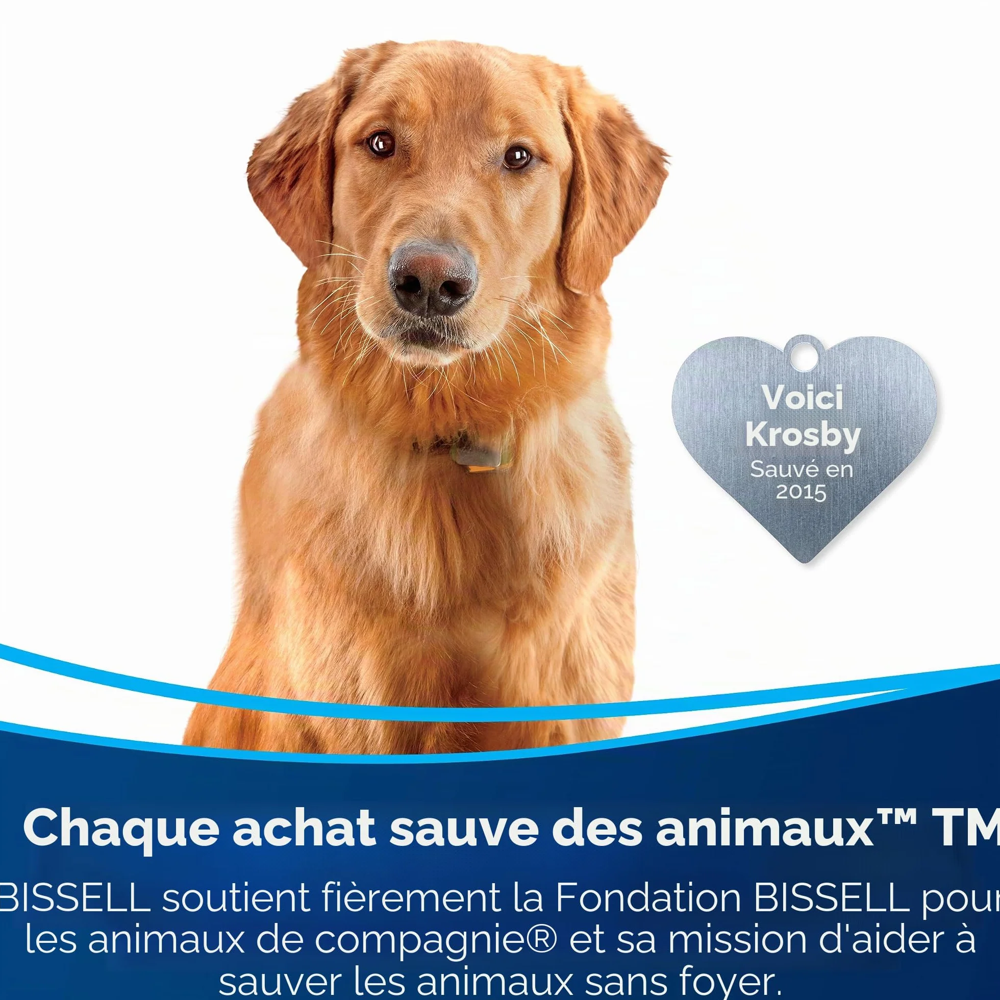 BISSELL Outil 2 en 1 pour Nettoyage de Tapis et Tissus d'ameublement (3259)
