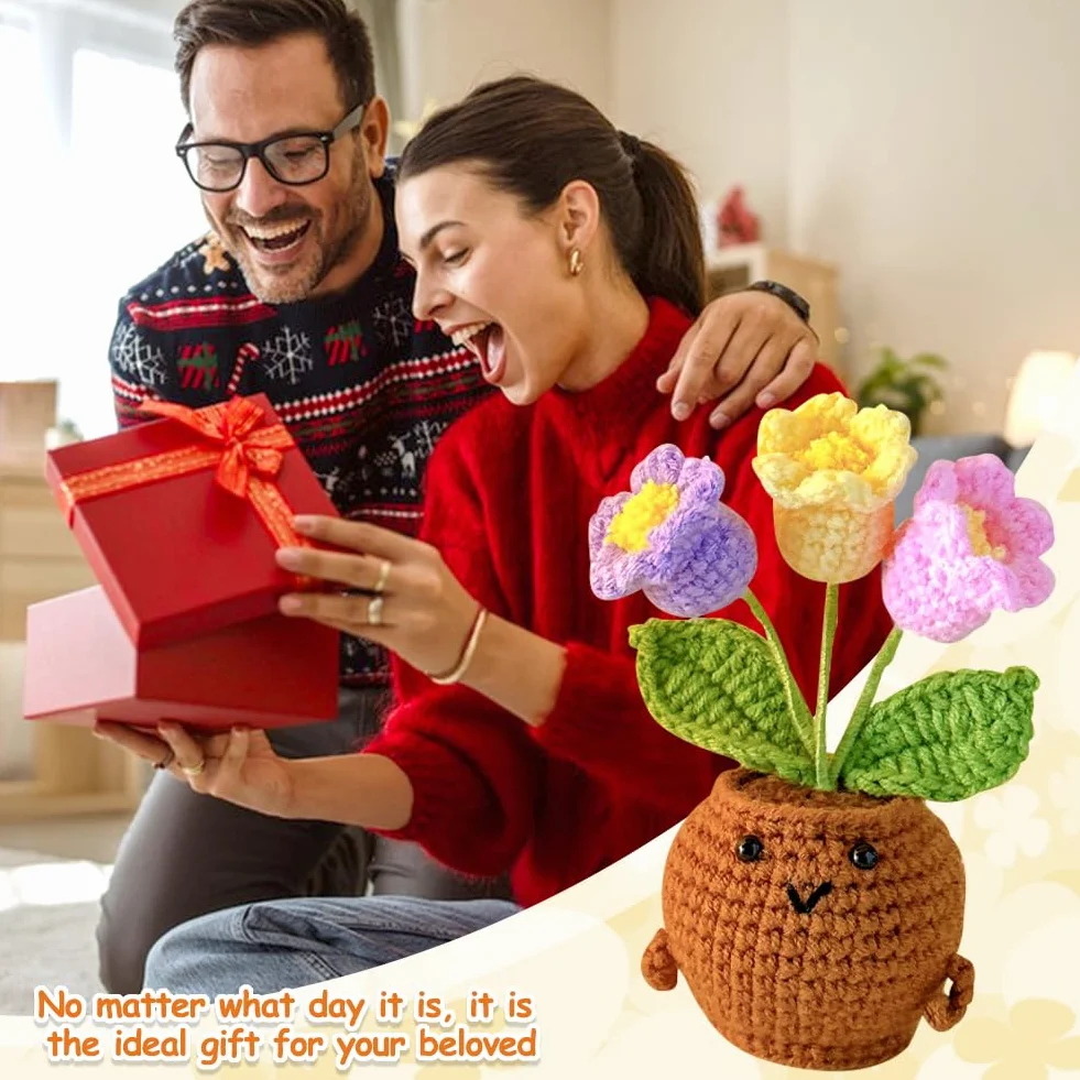 Fleurs au Crochet Faites à la Main dans un Pot, Cadeau Créatif pour Femme et Ado