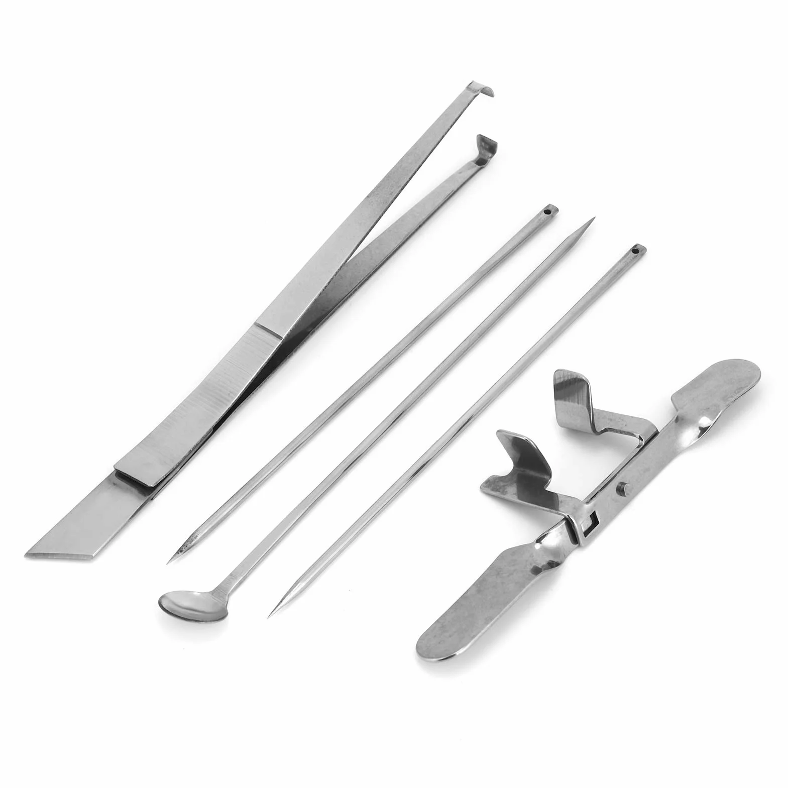 Kit D'outils pour Chapon de Poulet, Dispositif Vétérinaire en Acier Inoxydable, 5 Pièces