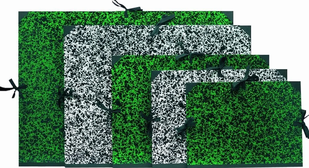 Clairefontaine 33200C - Un carton à dessin Annonay fermeture 3 cordons 67x94 cm, Vert