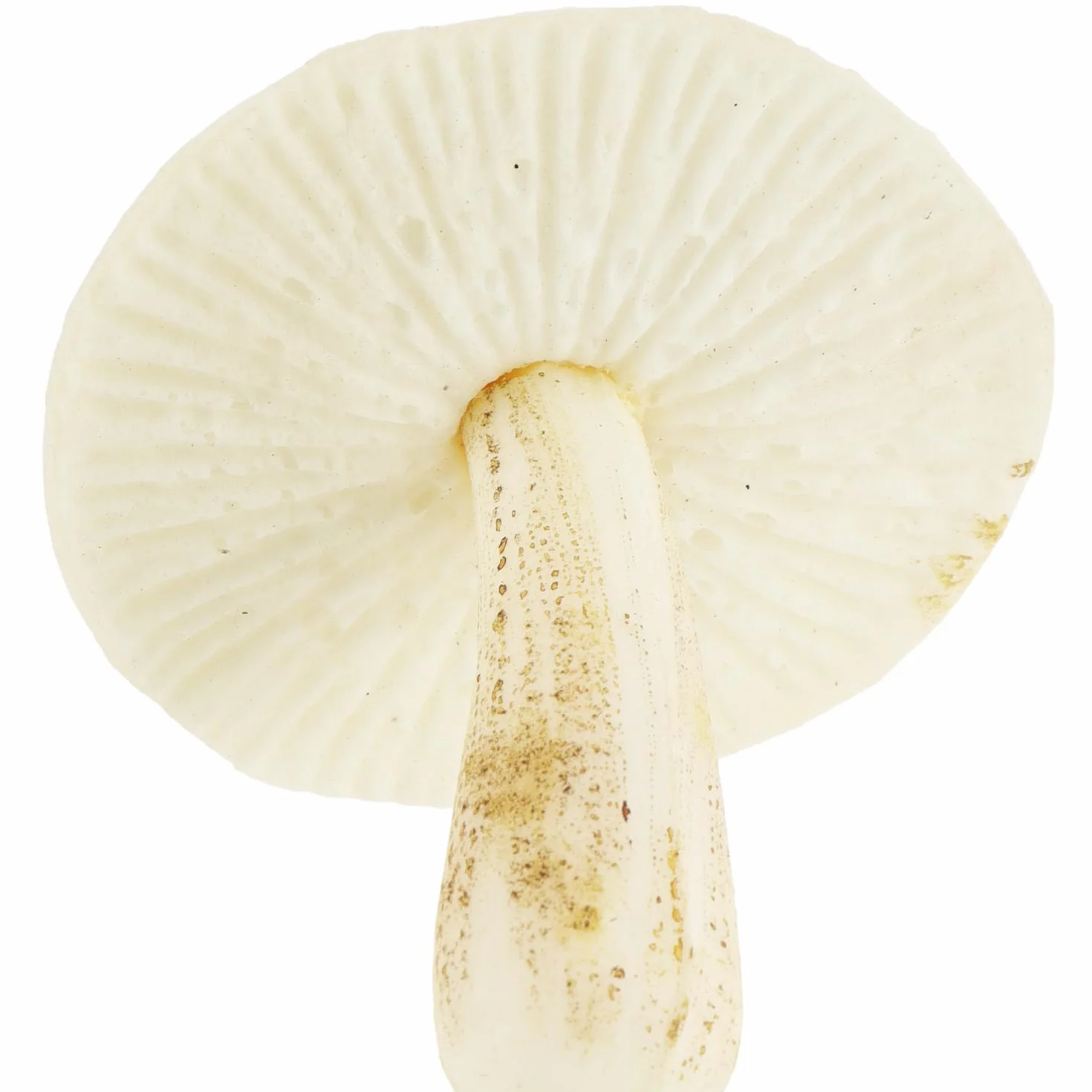 Champignons artificiels 12x Russula décoration automne couronnes compositions com-four®