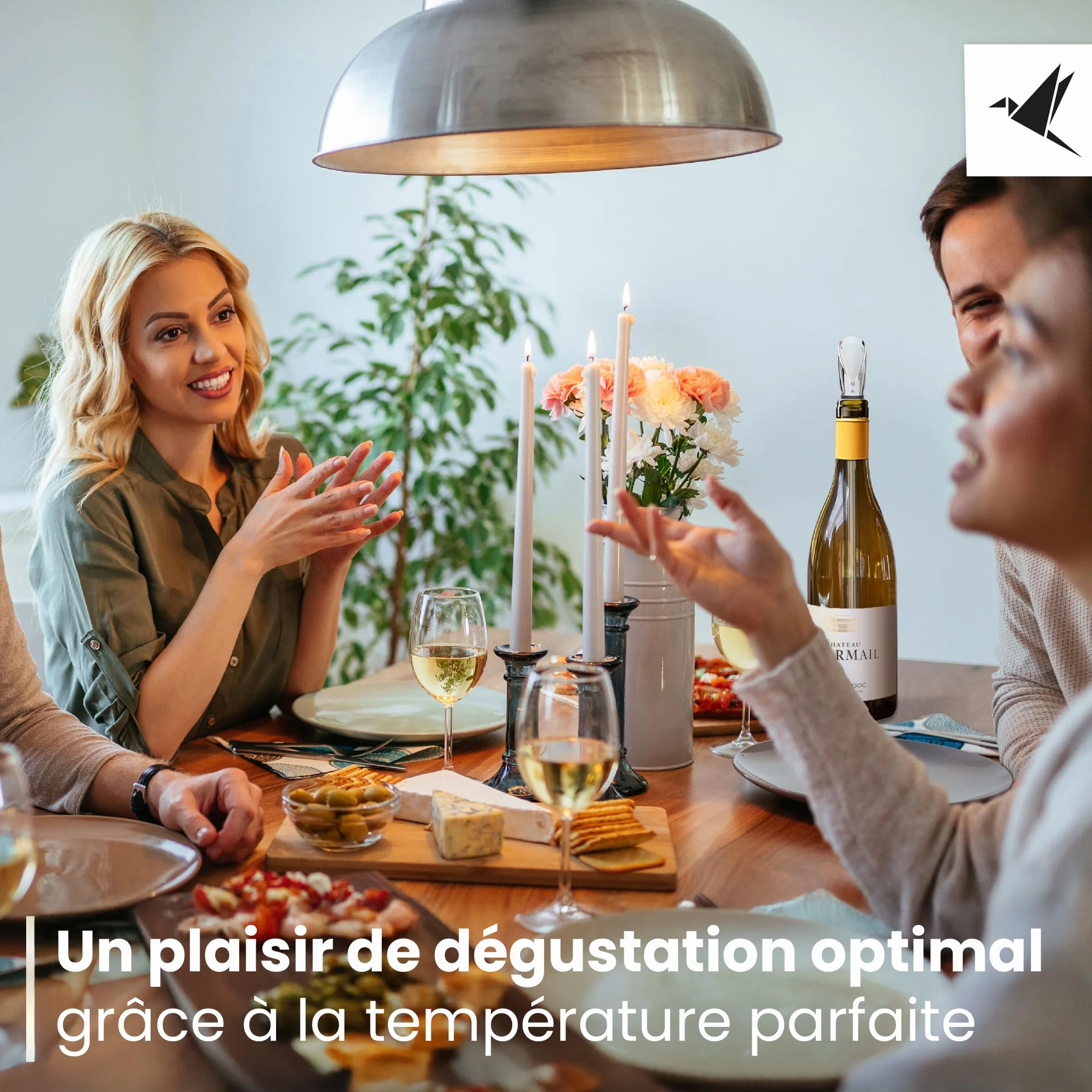Beyond Bâton Refroidisseur de Vin en Acier Inoxydable avec Verseur – Set Rafraîchisseur pour Vin Blanc et Rouge Coffret Cadeau