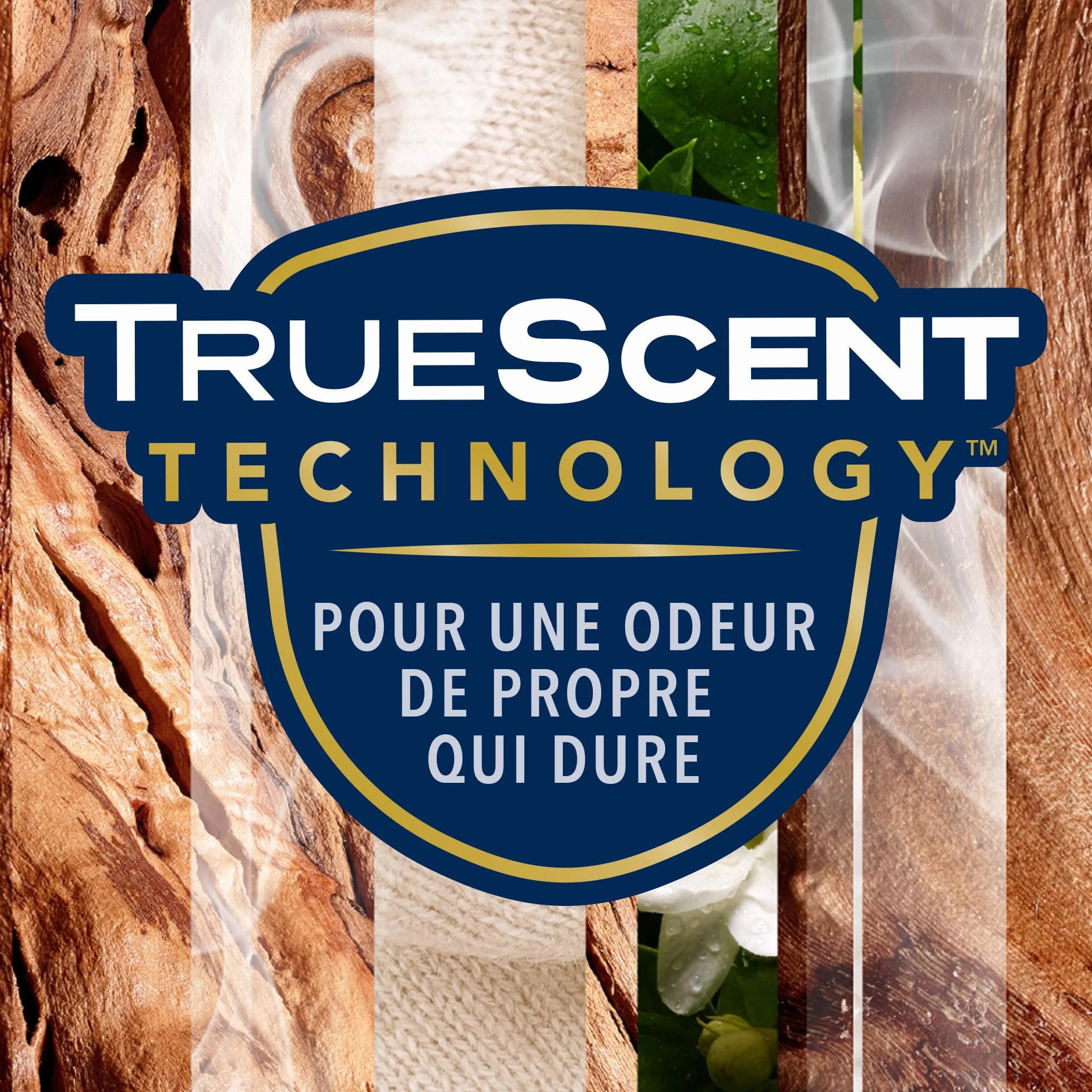 Glade Automatic Spray Diffuseur Infusé Aux Huiles Essentielles Sensual Sandalwood et Jasmine 1 Diffuseur et 1 Recharge