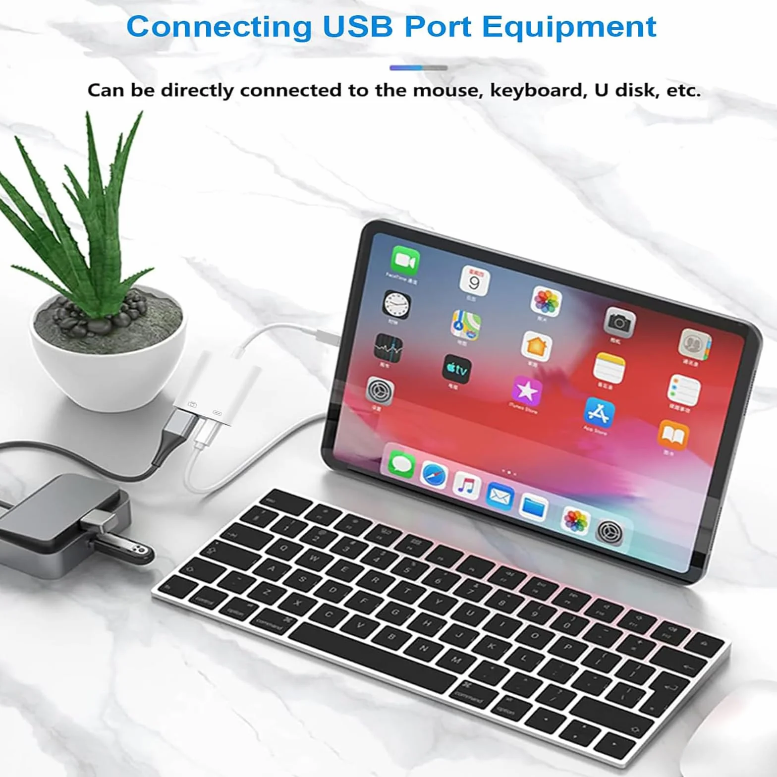 Loydia Adaptateur Lightning vers USB 3.0 avec Port de Charge Rapide OTG pour iPhone 14/13/12/11