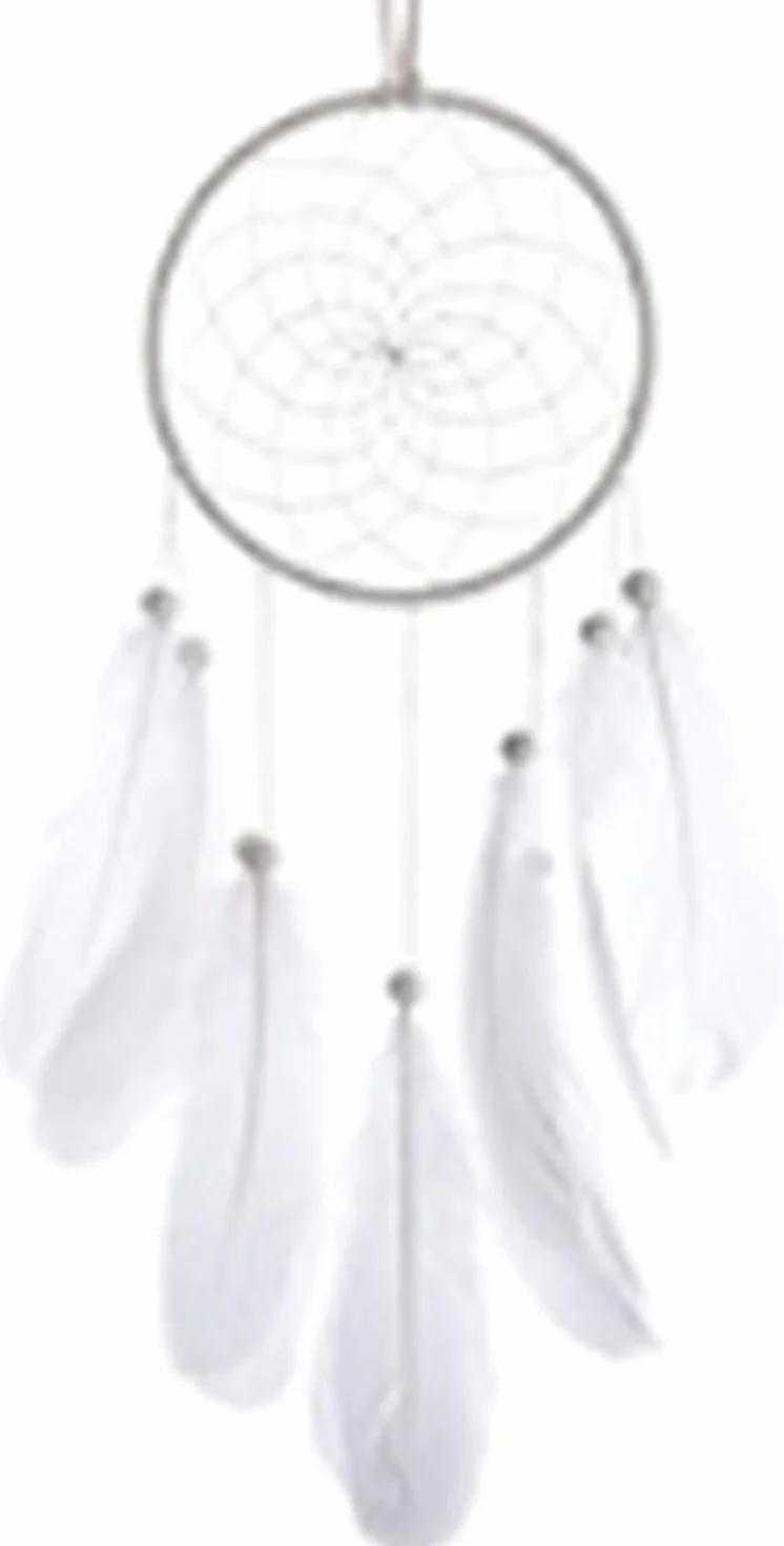 Attrape-Rêves Boho Plume Main, Ornement Dream Catcher Décoration Murale Chambre Maison (blanc)