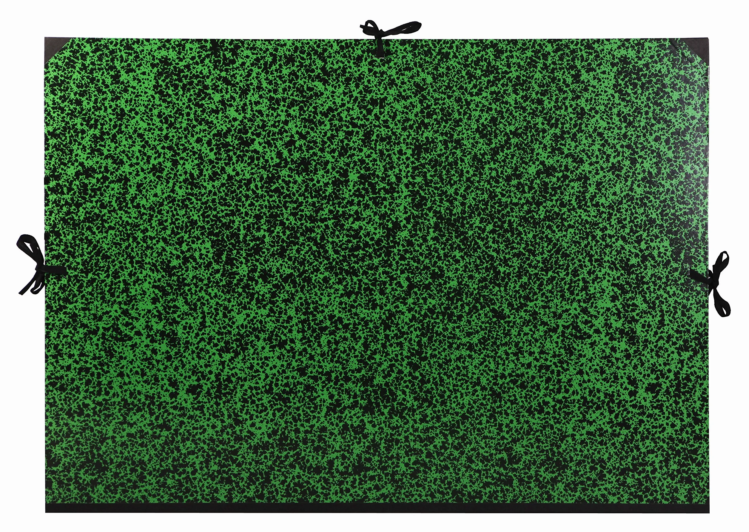Clairefontaine 33200C - Un carton à dessin Annonay fermeture 3 cordons 67x94 cm, Vert