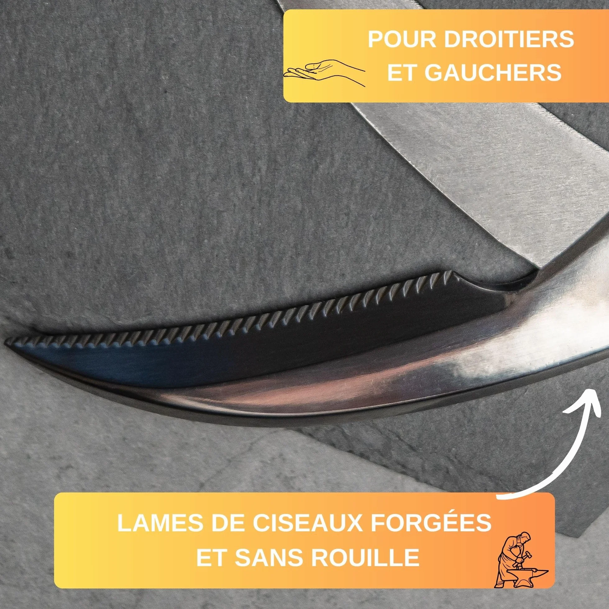 Thiru Ciseaux à volaille professionnels - Ciseaux de cuisine à ressort pour droitiers et gauchers