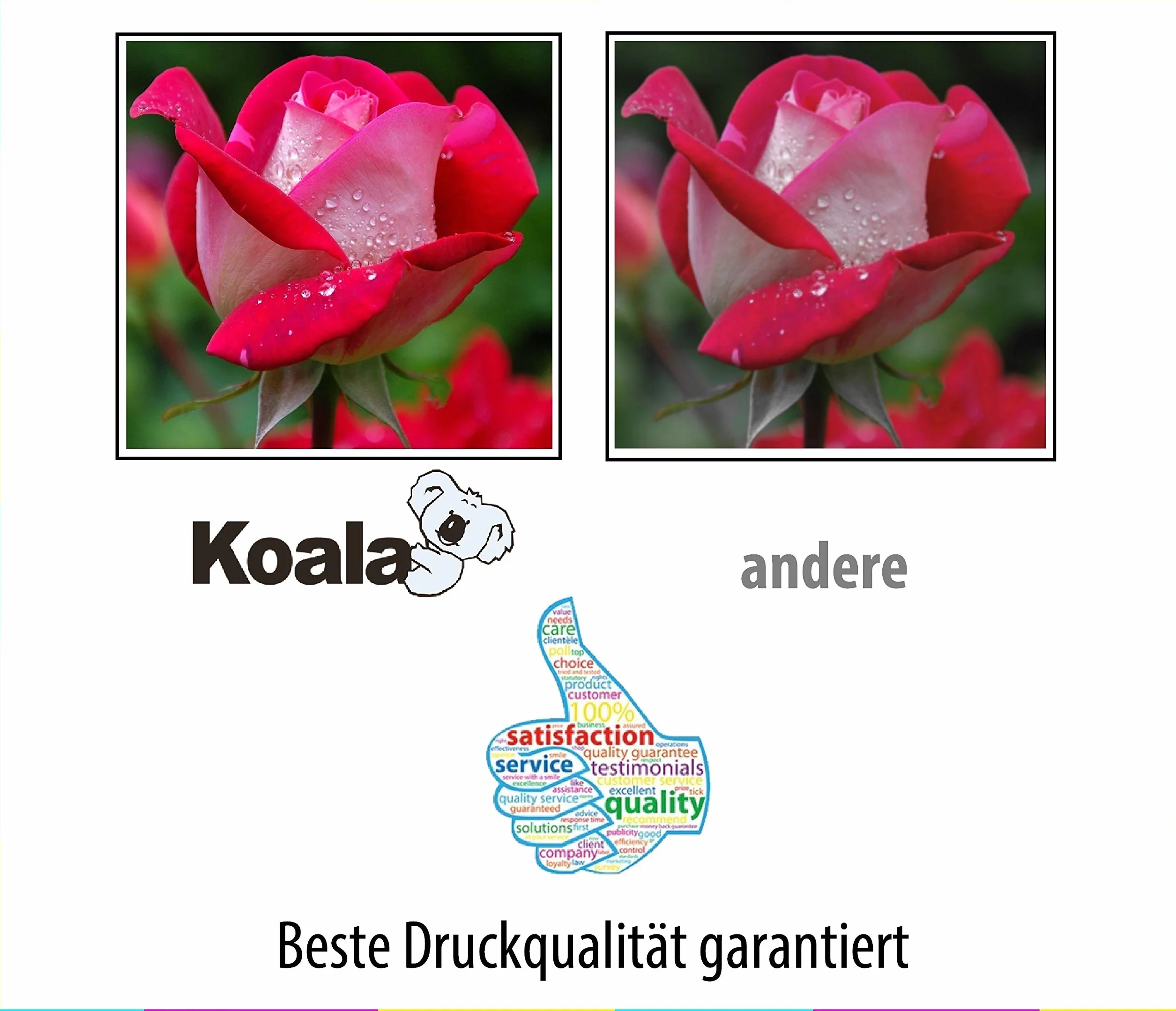 Koala Cartouche d’Encre Compatible Brother LC985 LC980 LC1100 10-Pack Noir Cyan Magenta Jaune