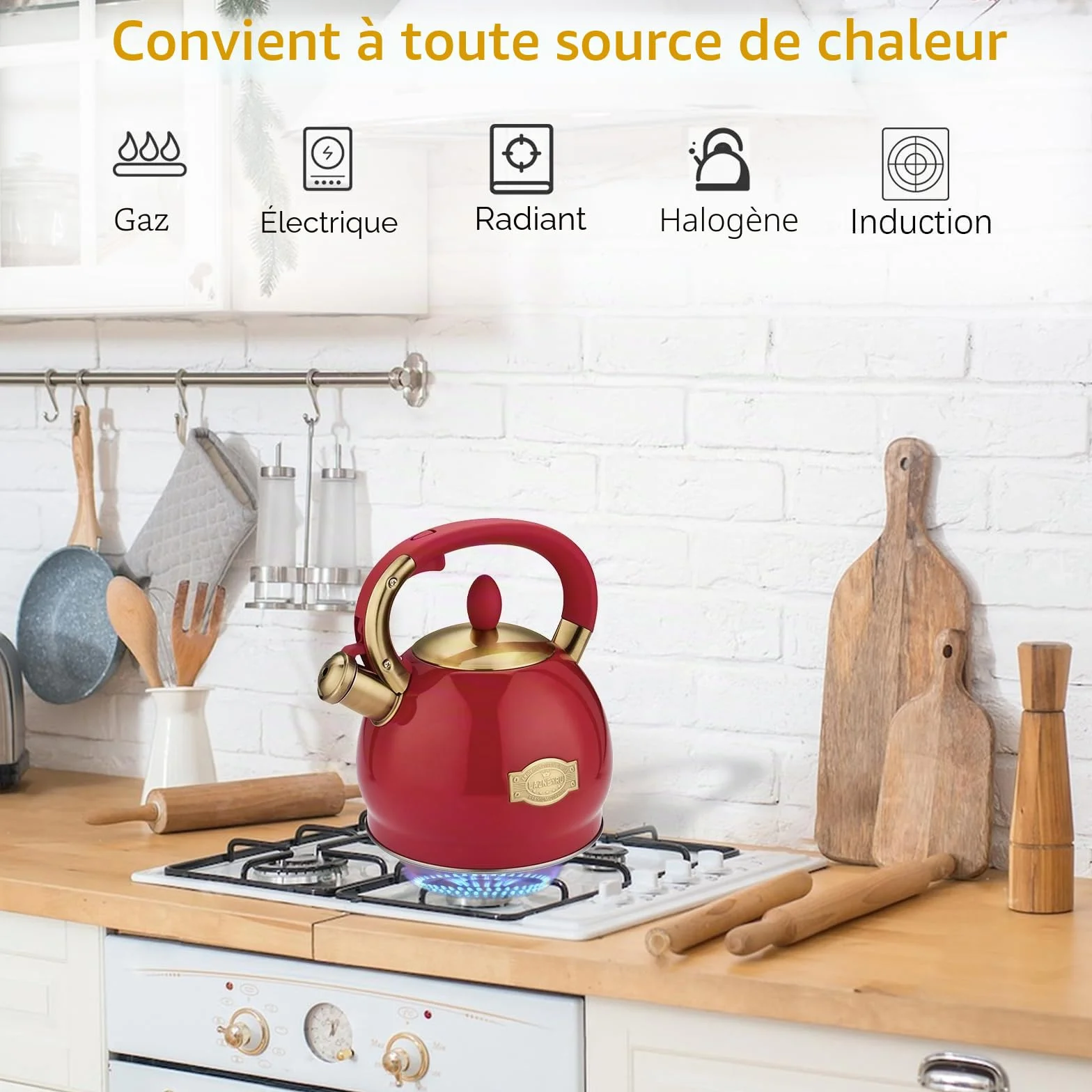 2,8 L Bouilloire à sifflet pour induction, théière en acier inoxydable pour tous les types de cuisinières