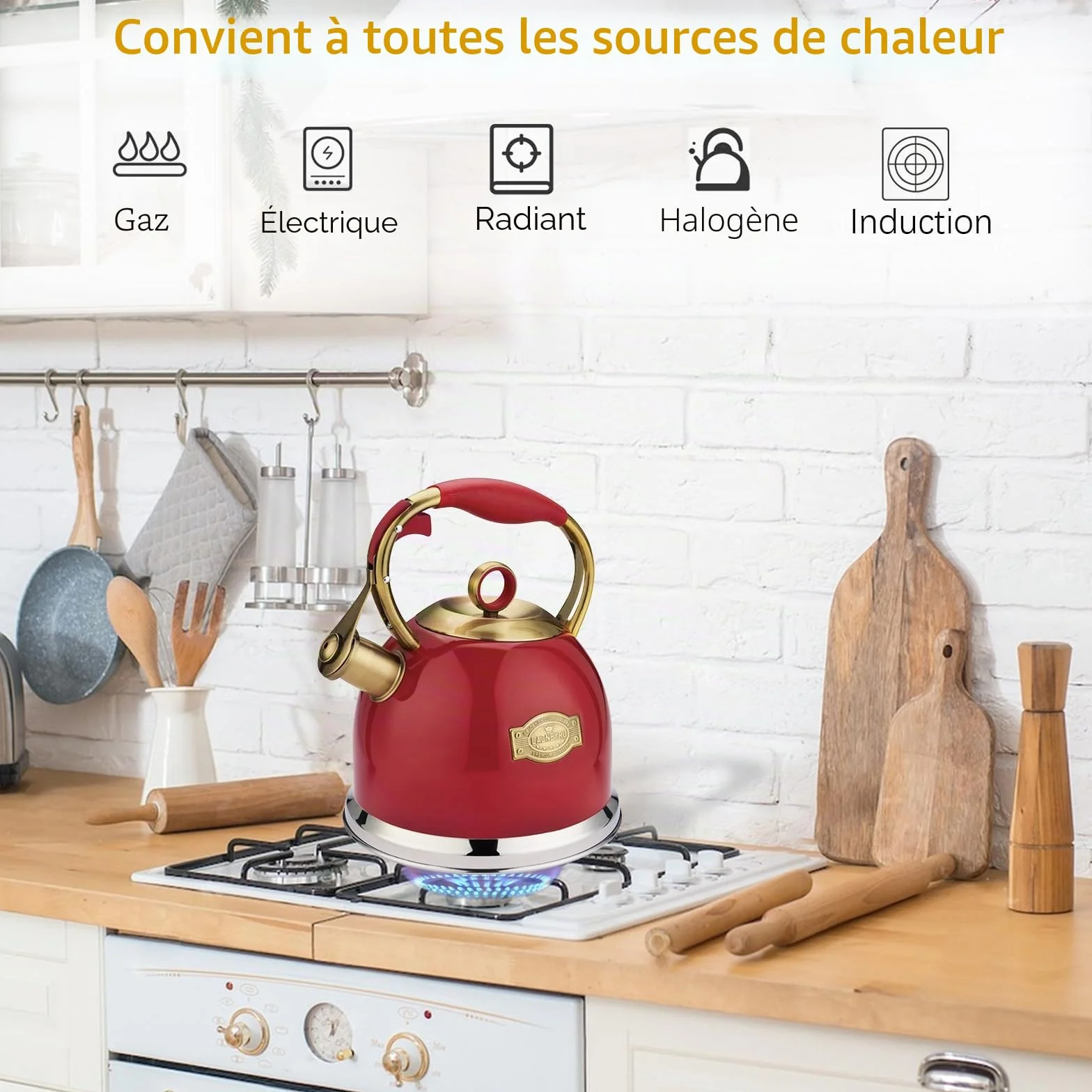 Bouilloire sifflante en acier inoxydable de 3 l avec poignée résistante à la chaleur, bouilloire sifflante pour plaques à induction