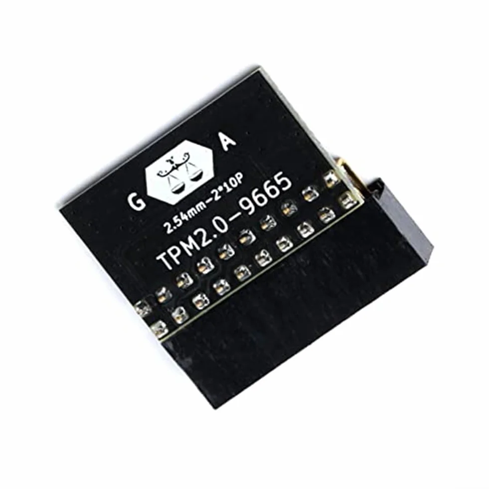 TPM Module 2.0 20-1 broches 2 x 10P puce de sécurité pour cartes mères DDR4 Win11 Cryptage Clé Stockage PCB