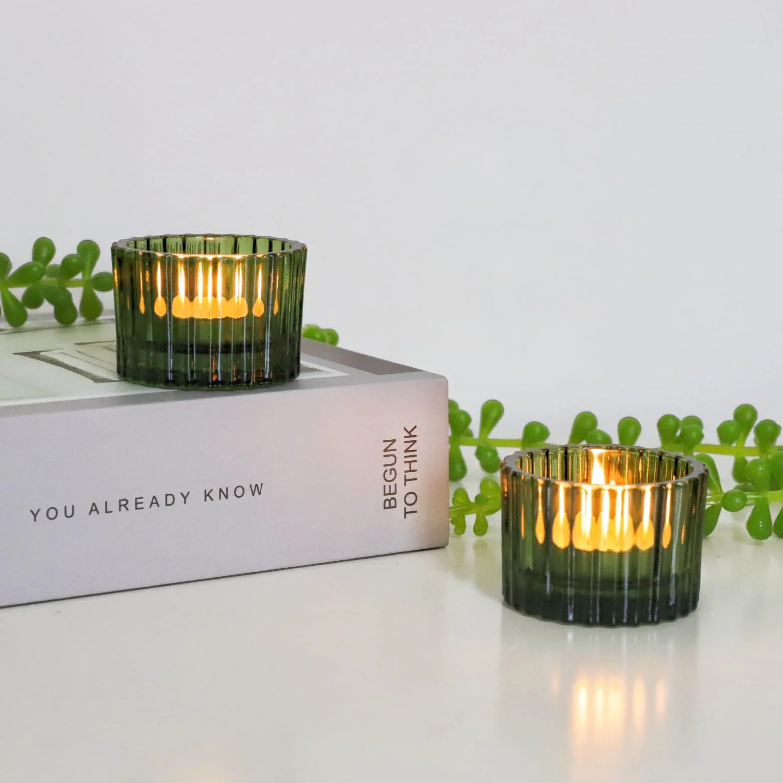 Lot de 24 photophores Verts