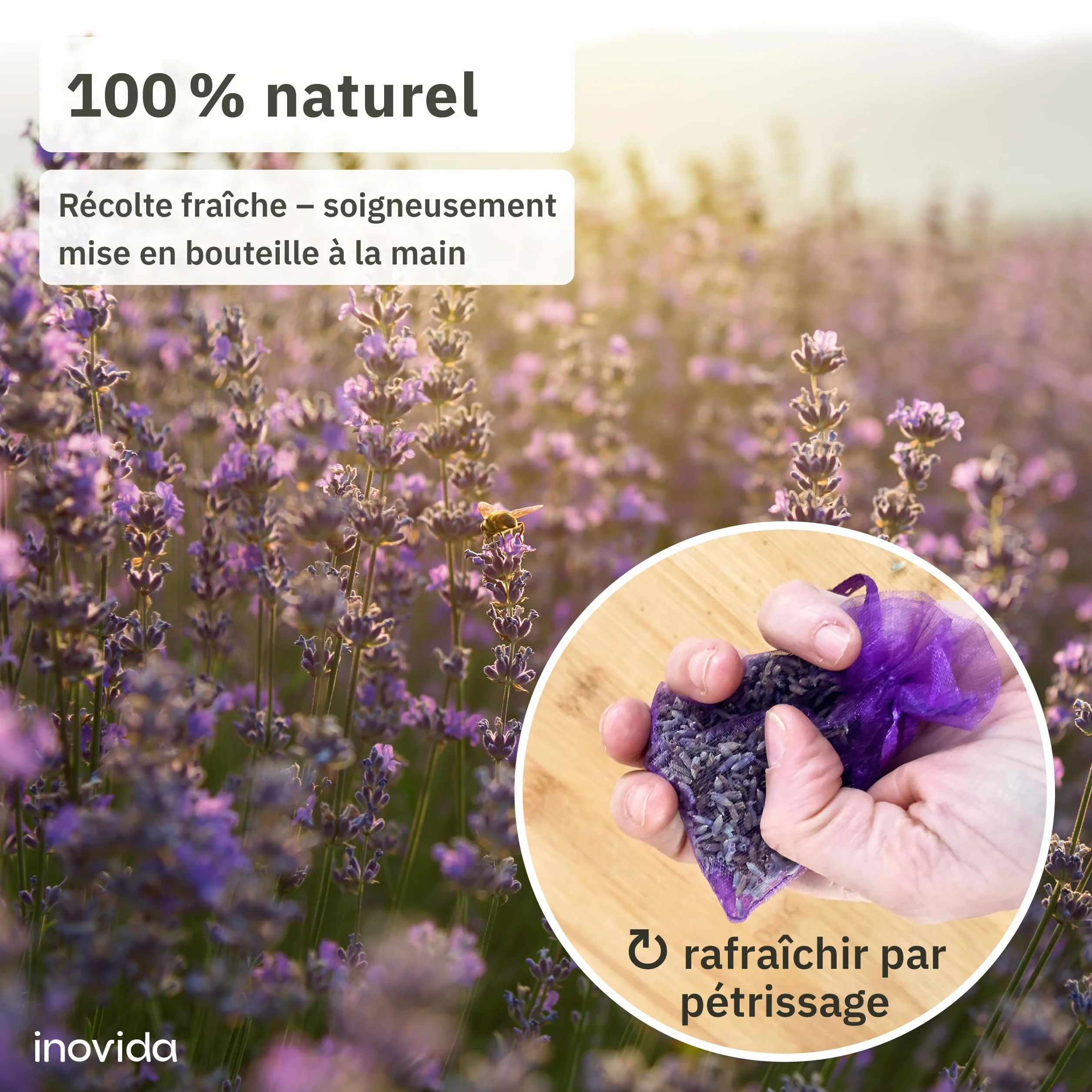 Inovida Sachets Parfumés Lavande 20 Lavande Vraie Séchée Protection Mites Armoire Linge Placard