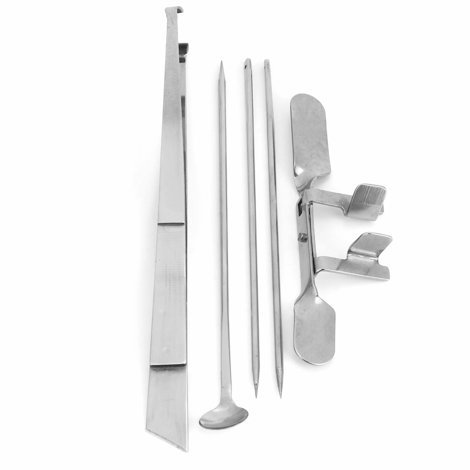 Kit D'outils pour Chapon de Poulet, Dispositif Vétérinaire en Acier Inoxydable, 5 Pièces