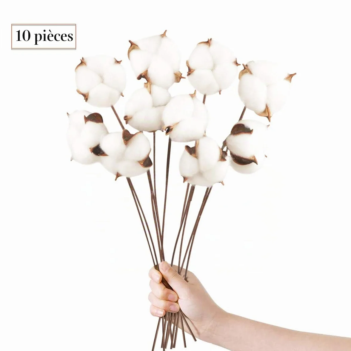 Fleurs de Coton Sechees Naturelles 10 Pack Fausses Branches Decoration Maison Balcon Composition Florale