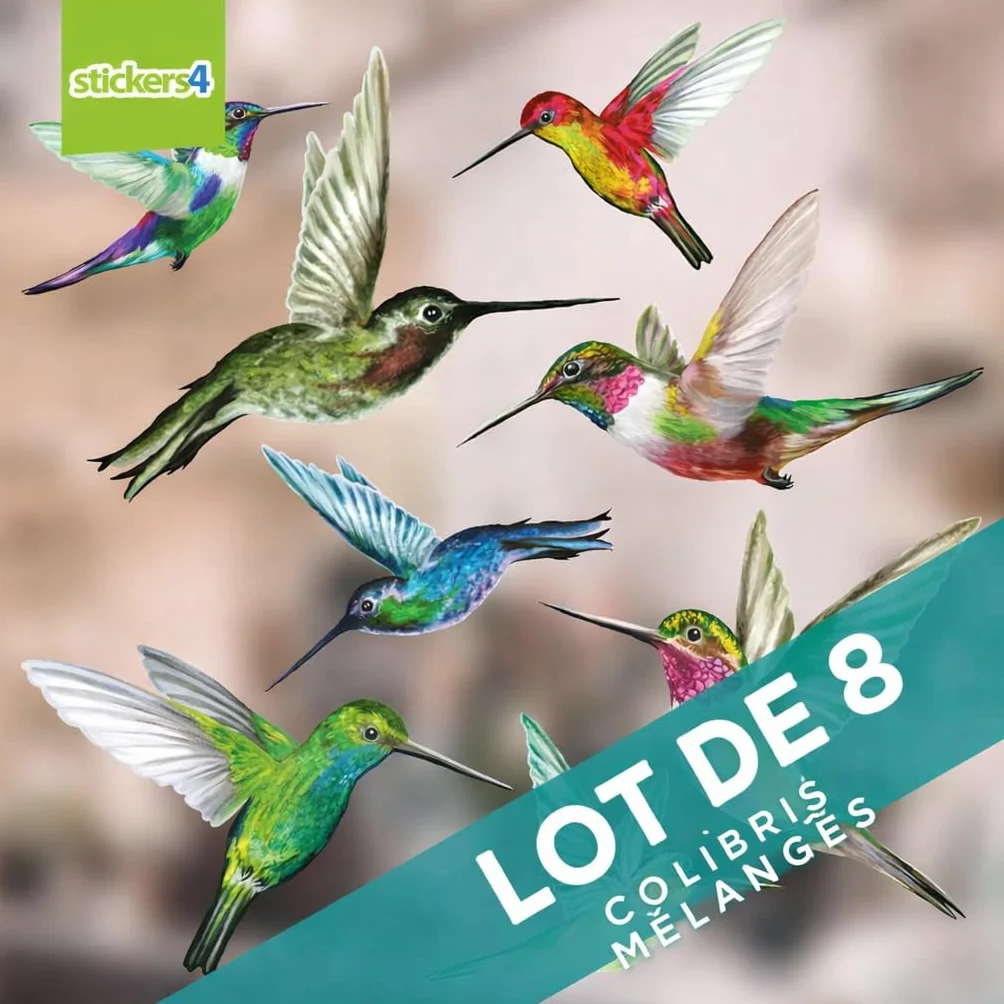 Autocollants Fenêtre Colibri 8 pièces Anti Collision Oiseaux