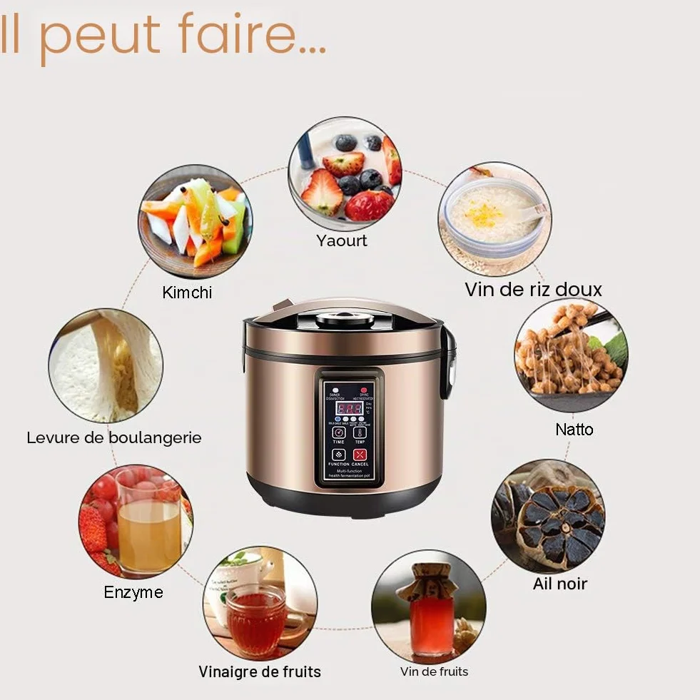 6L Yaourtière, Fermenteur Pour Ail Noir, Pour Kimchi, Pour Le Vin De Riz Doux Et Pour Le Natto - Appareil Entièrement Automatique