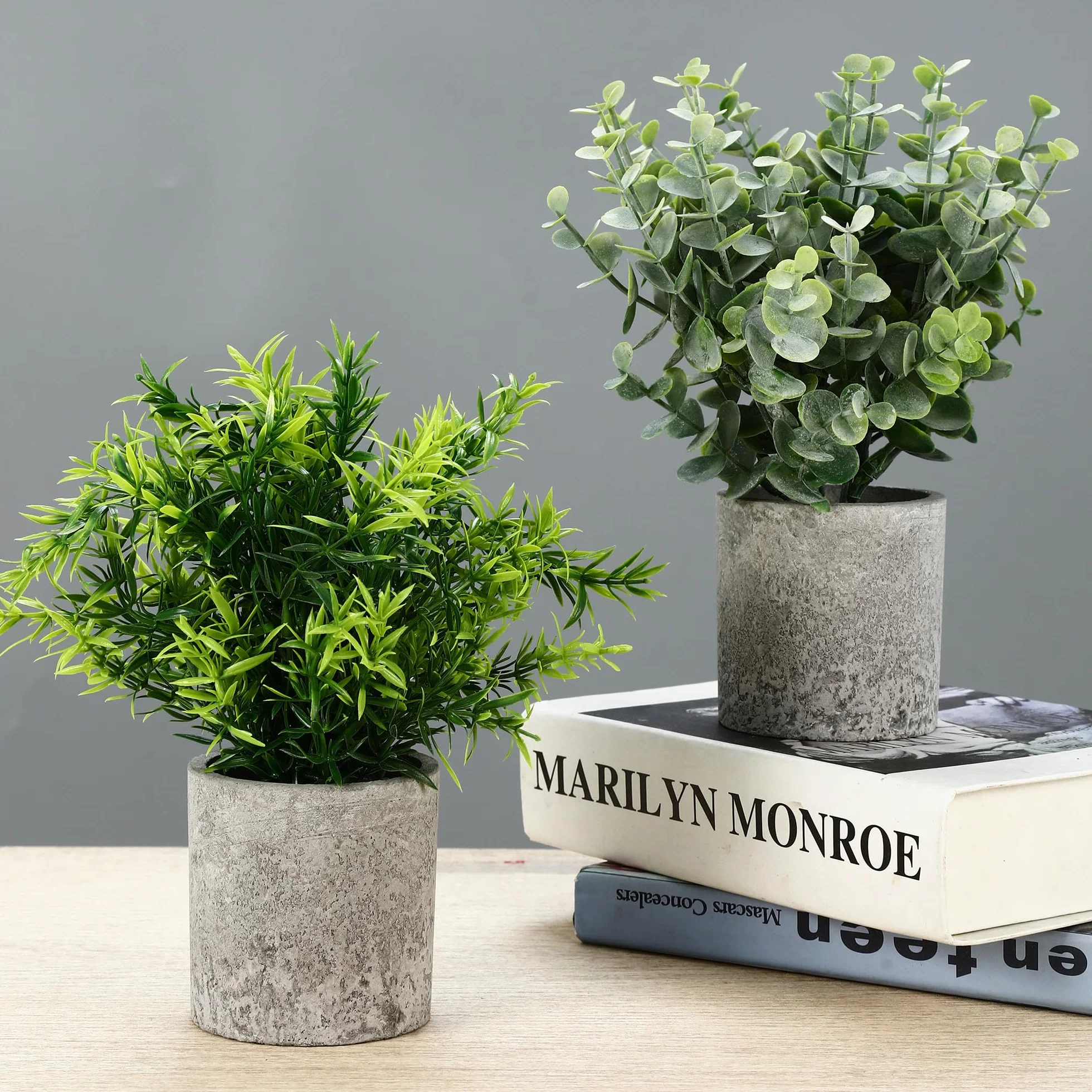 Plantes Artificielles Mini Interieur Serpentine Agave Succulentes Aloe Vera Decoration Bureau