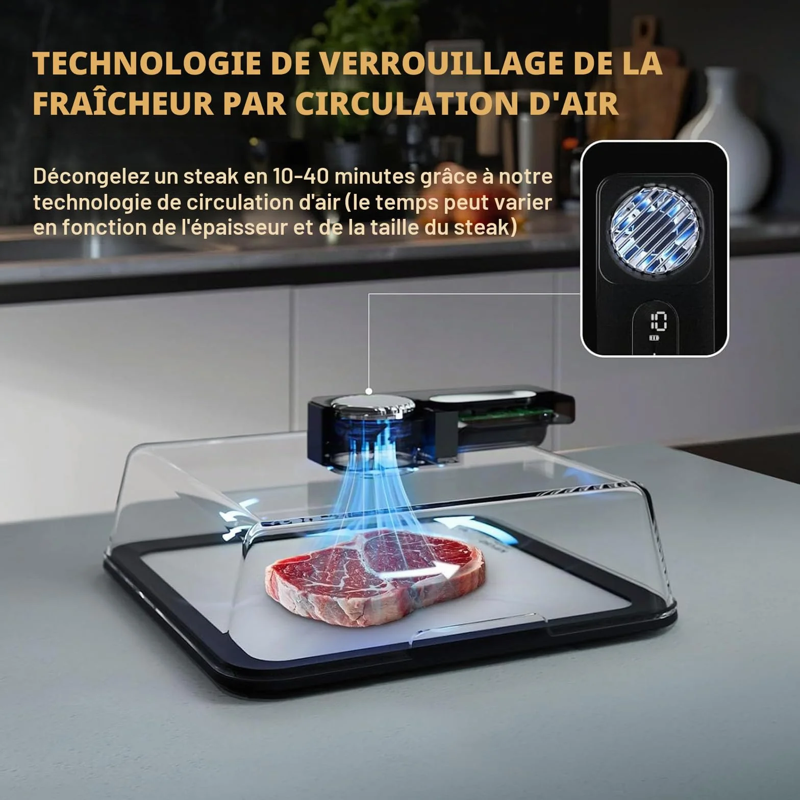 Planche de décongélation électrique – Plateau de décongélation de viande de 4,2 L – Décongélation rapide en 10 minutes – Rechargeable par USB, pas besoin d'eau pour la viande congelée, les fruits de